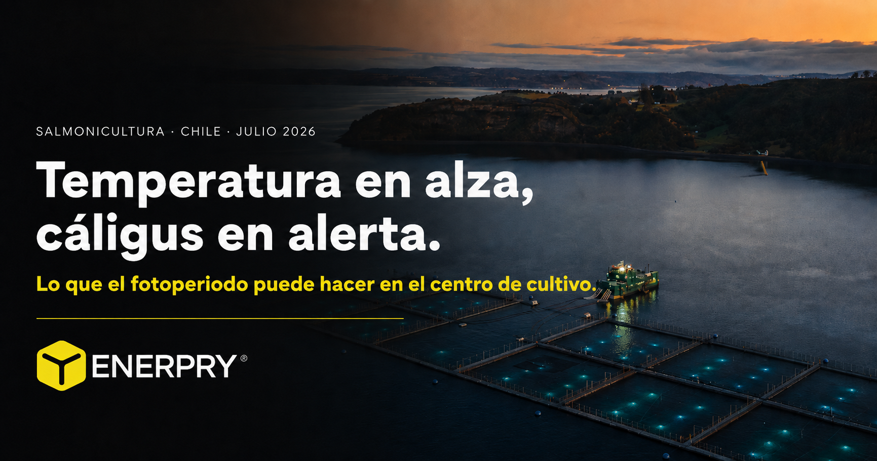 Temperatura en alza, caligus en alerta .png