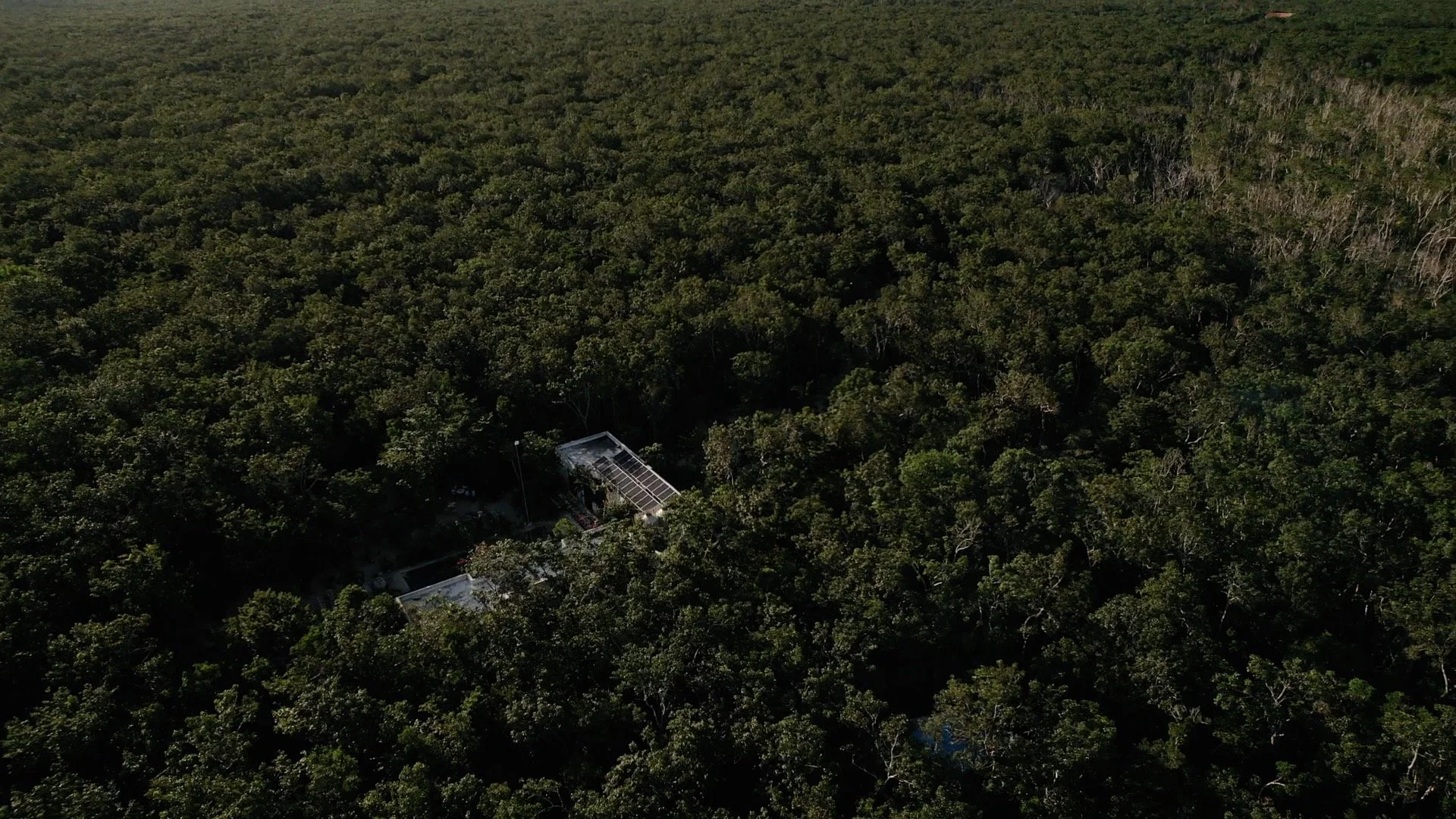 An Elegant Sanctuary of Wild Beauty