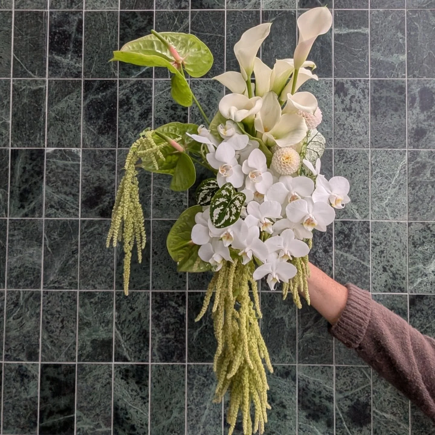 For today's Bride!! 

sweet little pom pom dahlia from @threedogsflowerfarm
#bride #bridalflowers #wollongongweddingflorist
