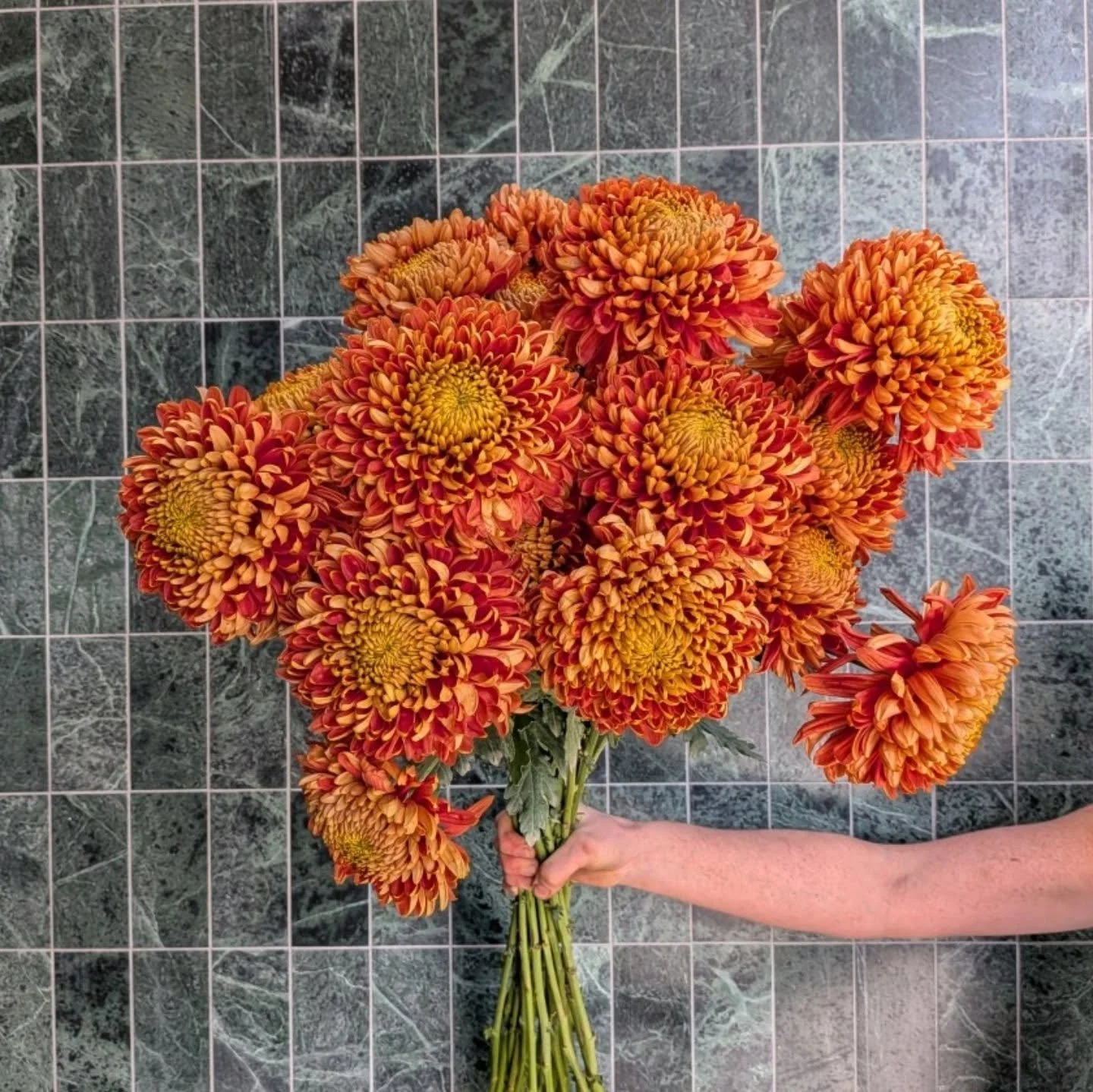 Burnt Orange Muma for MUMMA !!

PRE ORDERS ARE ENCOURAGED! jump online and see our Mothers Day Collection ! 

#WollongongFlowers #wollongongflorist #mothersdayflowers