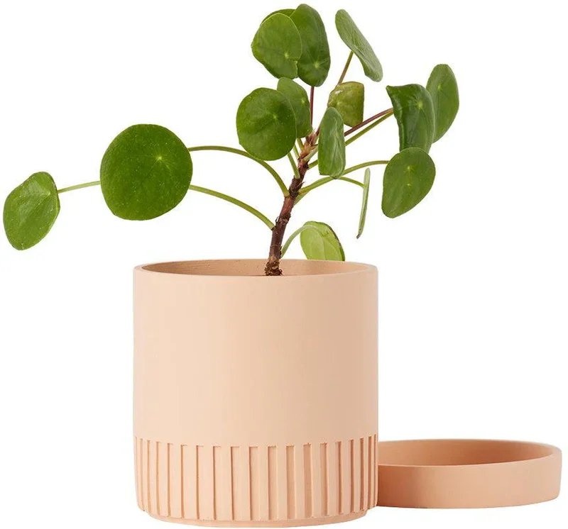 cream-etch-planter.jpg.webp (Copy)