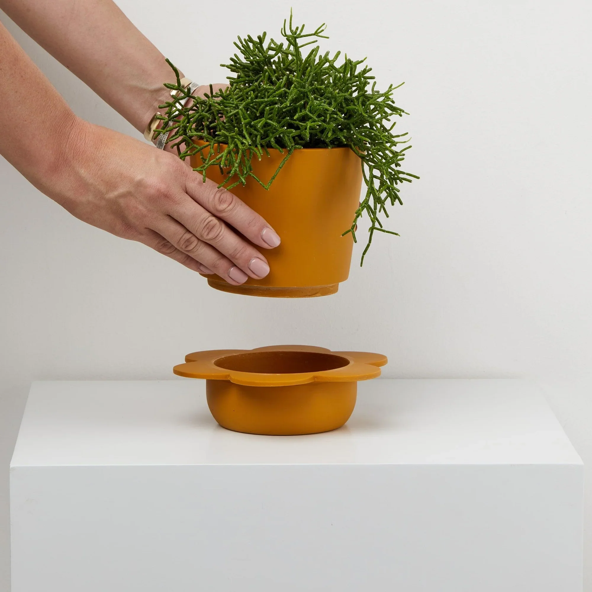 Spring_Pot_-_Golden_With_Hands.jpg.webp