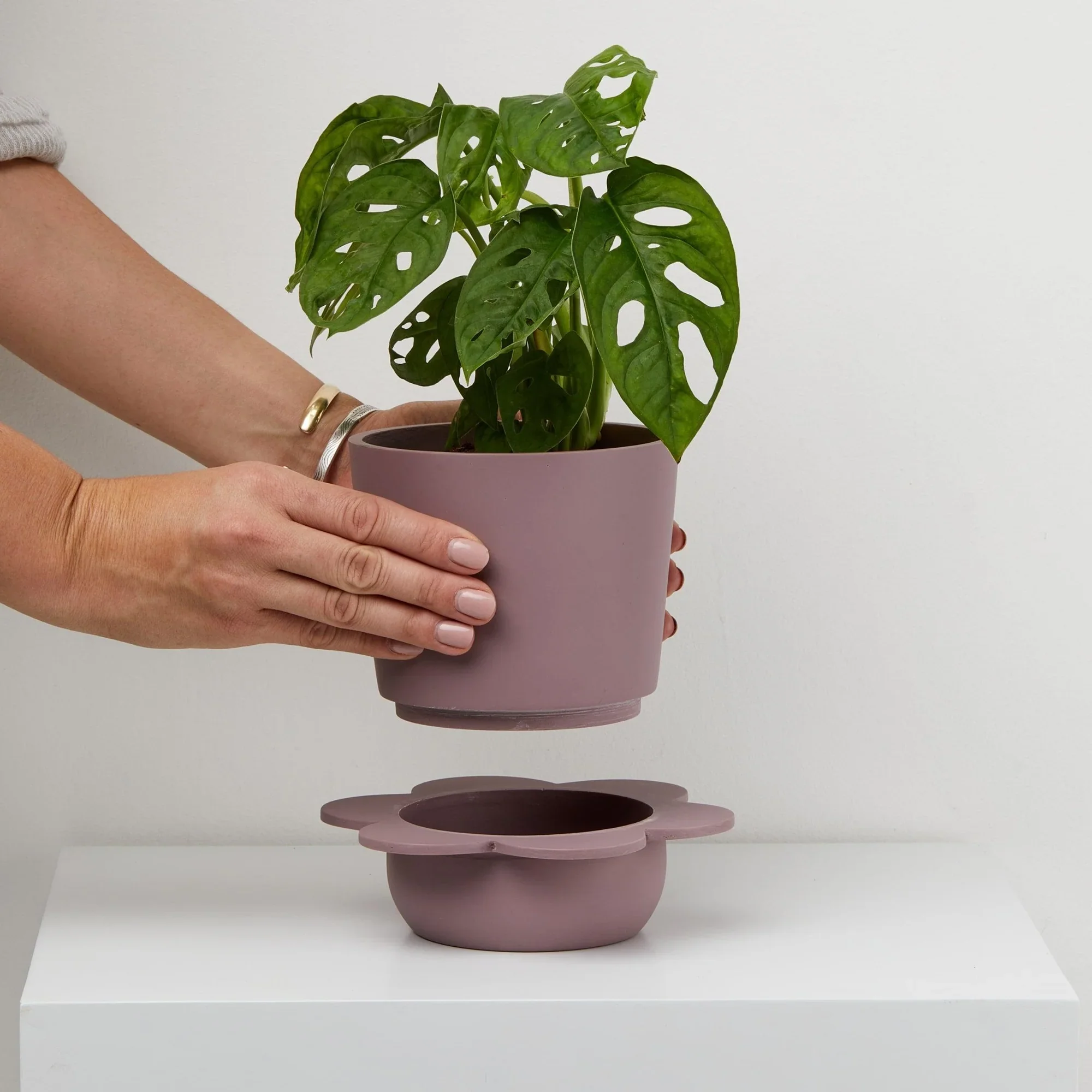 Spring_Pot_-_Musk_With_hands.jpg.webp