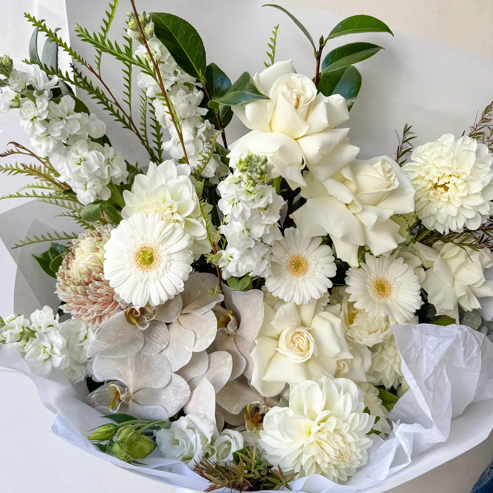 Lover White 3.webp