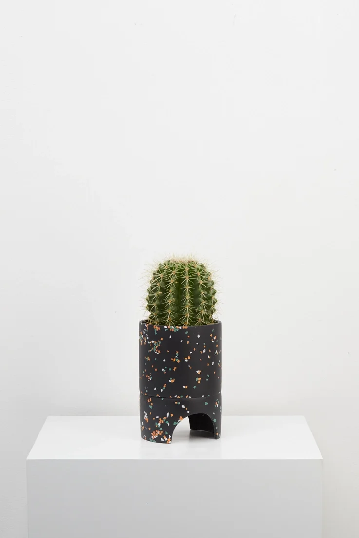 Archie Black .webp (Copy) (Copy)