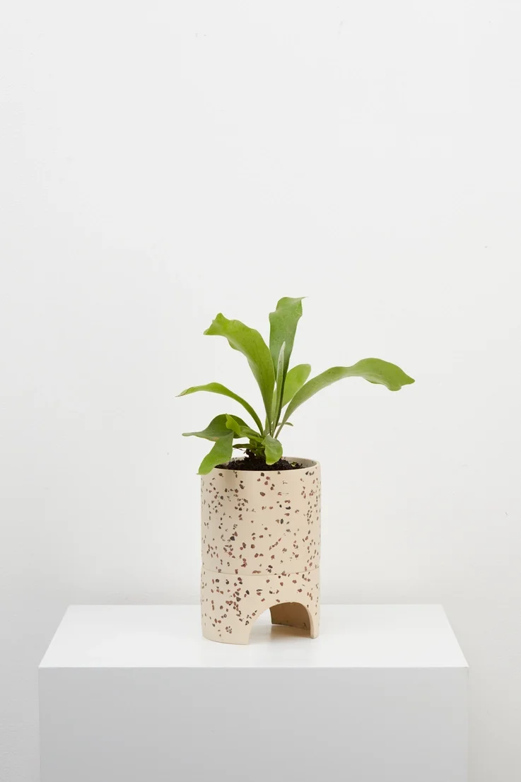 Archie Pot.webp (Copy) (Copy)