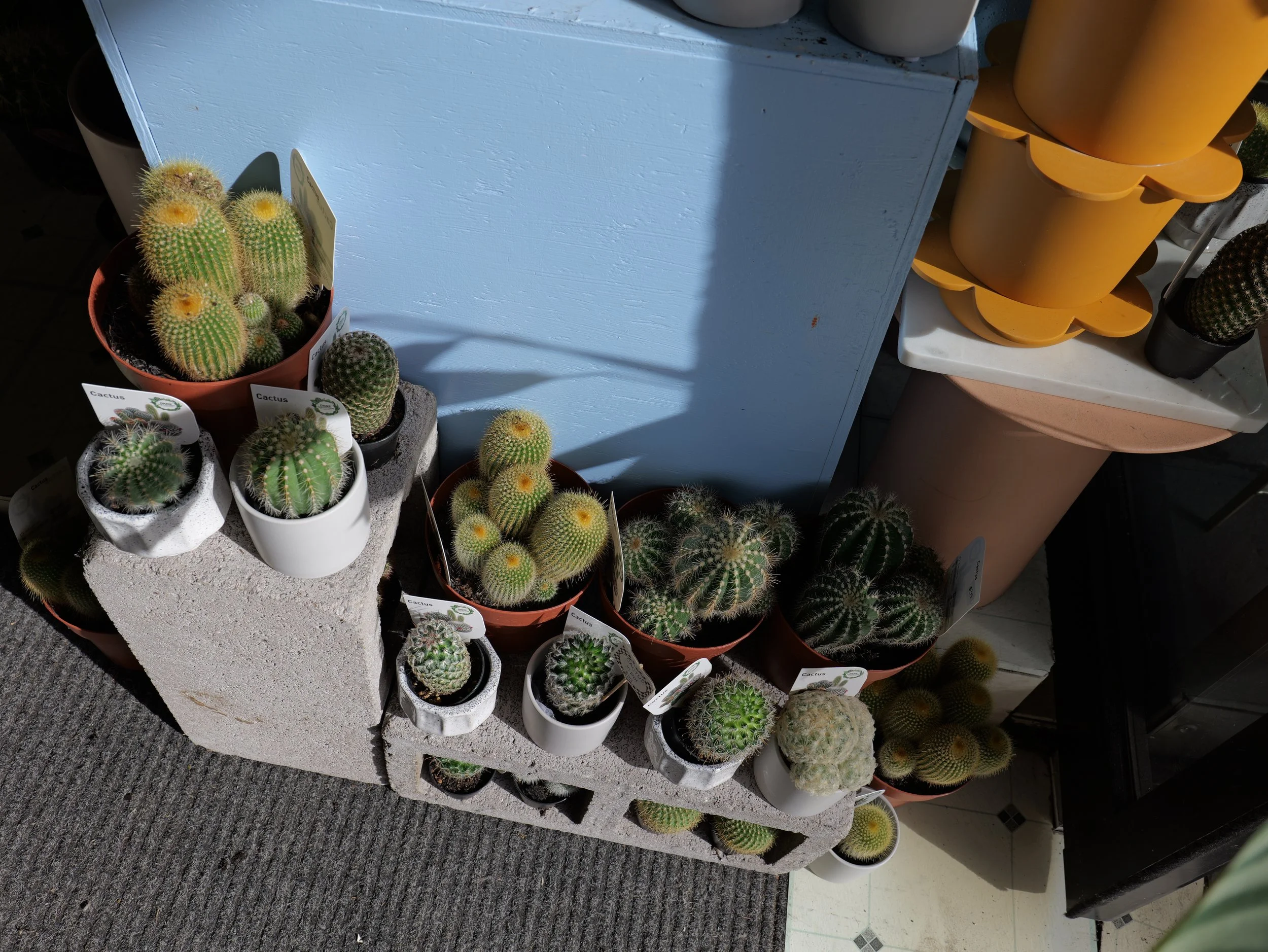 P1011951.JPG