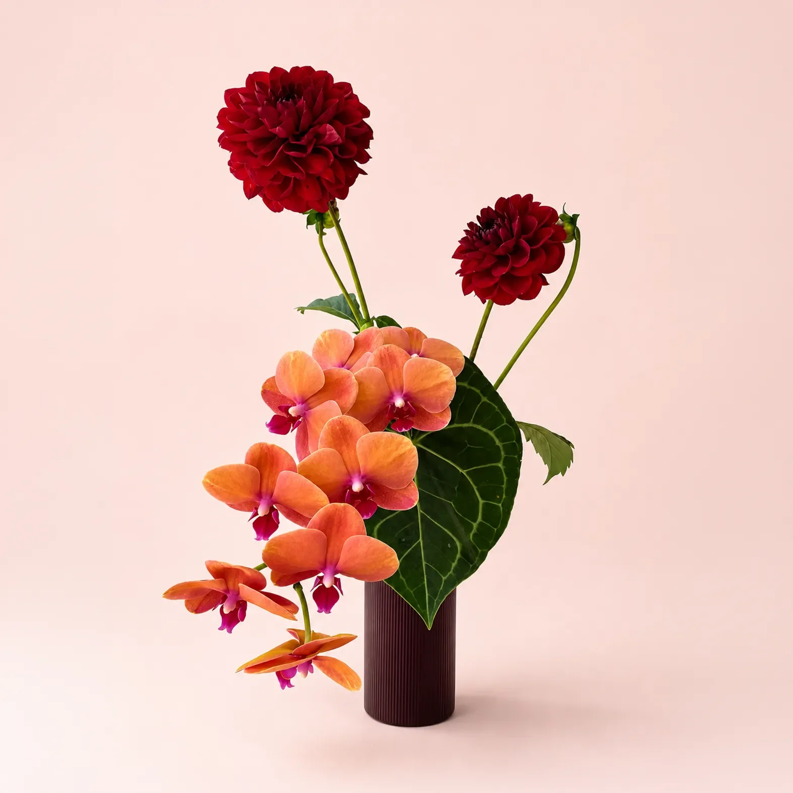 Vase Orchid.webp