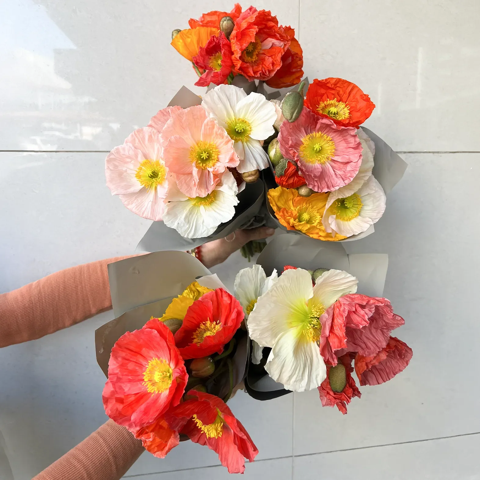 Poppies 1.webp