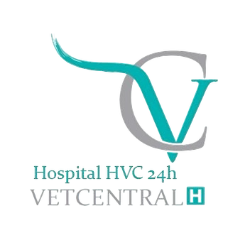 Hospital VetCentral