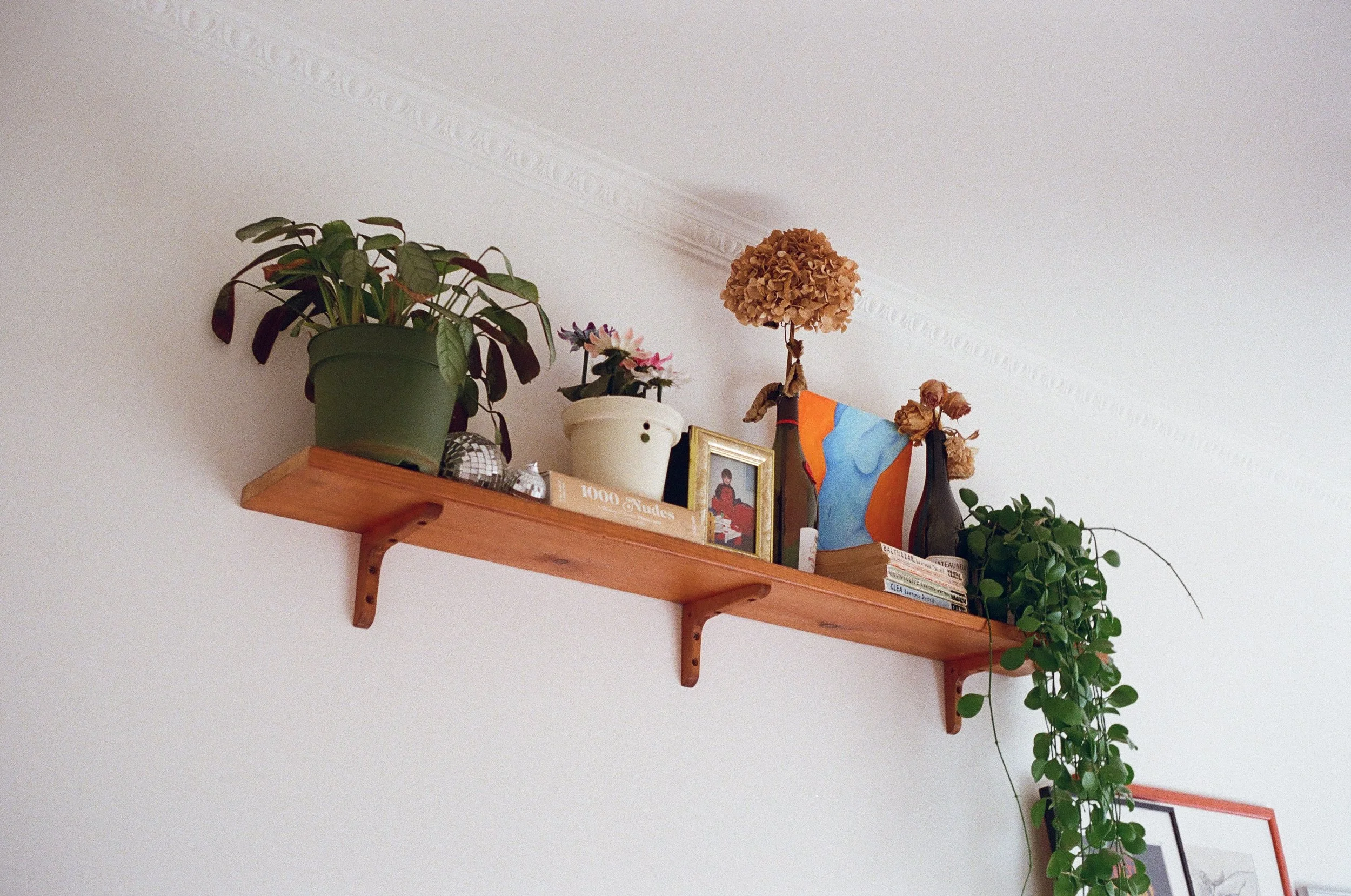 Ensemble D'étagères Murales