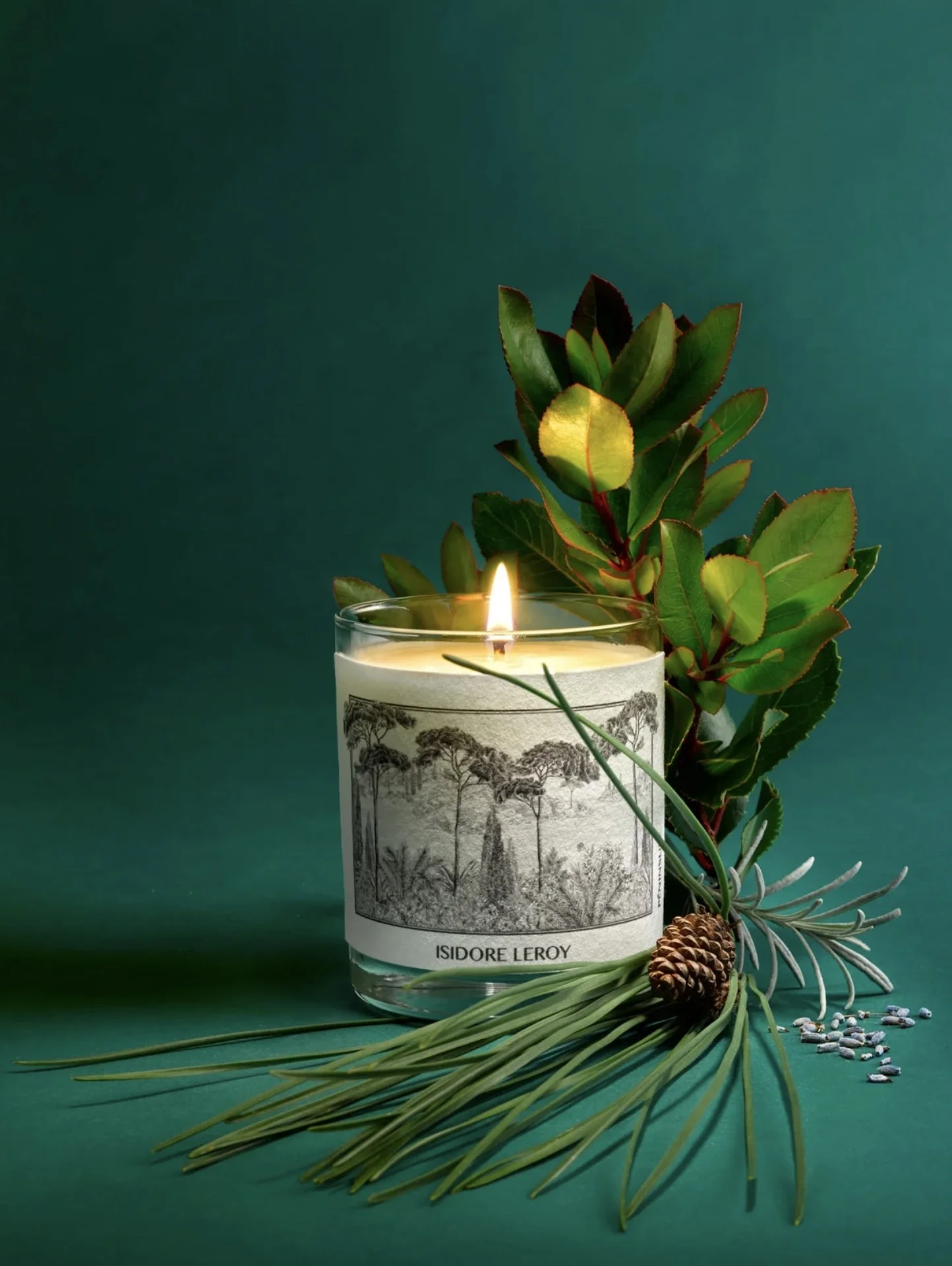 Bougie parfumée allumée avec décor de feuilles et de branche en arrière-plan, sur un fond vert.