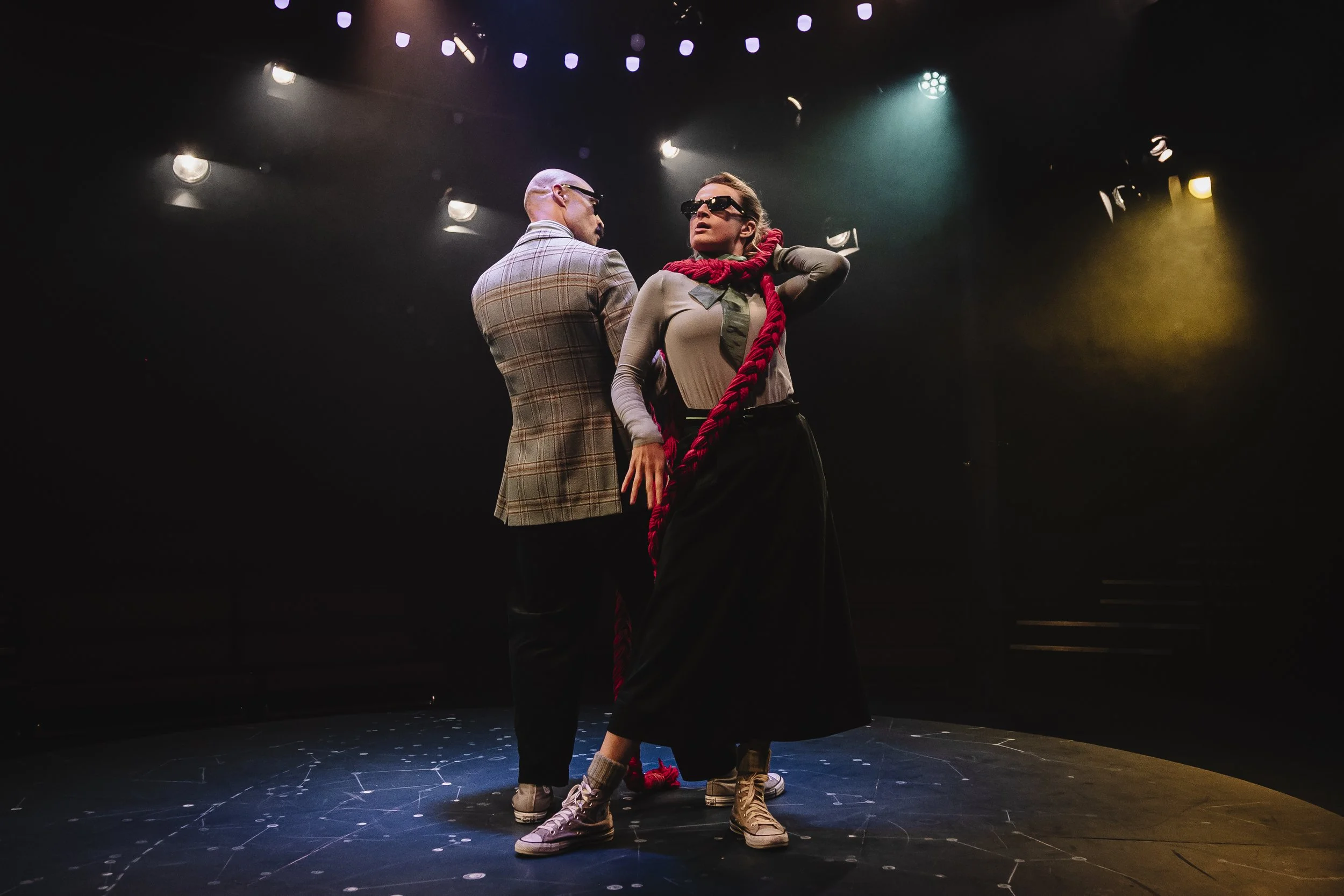 Rapunzel: A Hairy Tale, 2026
