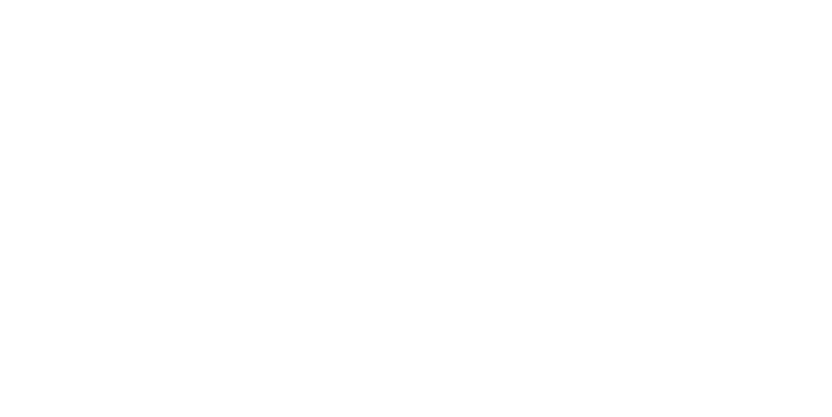Main Logo