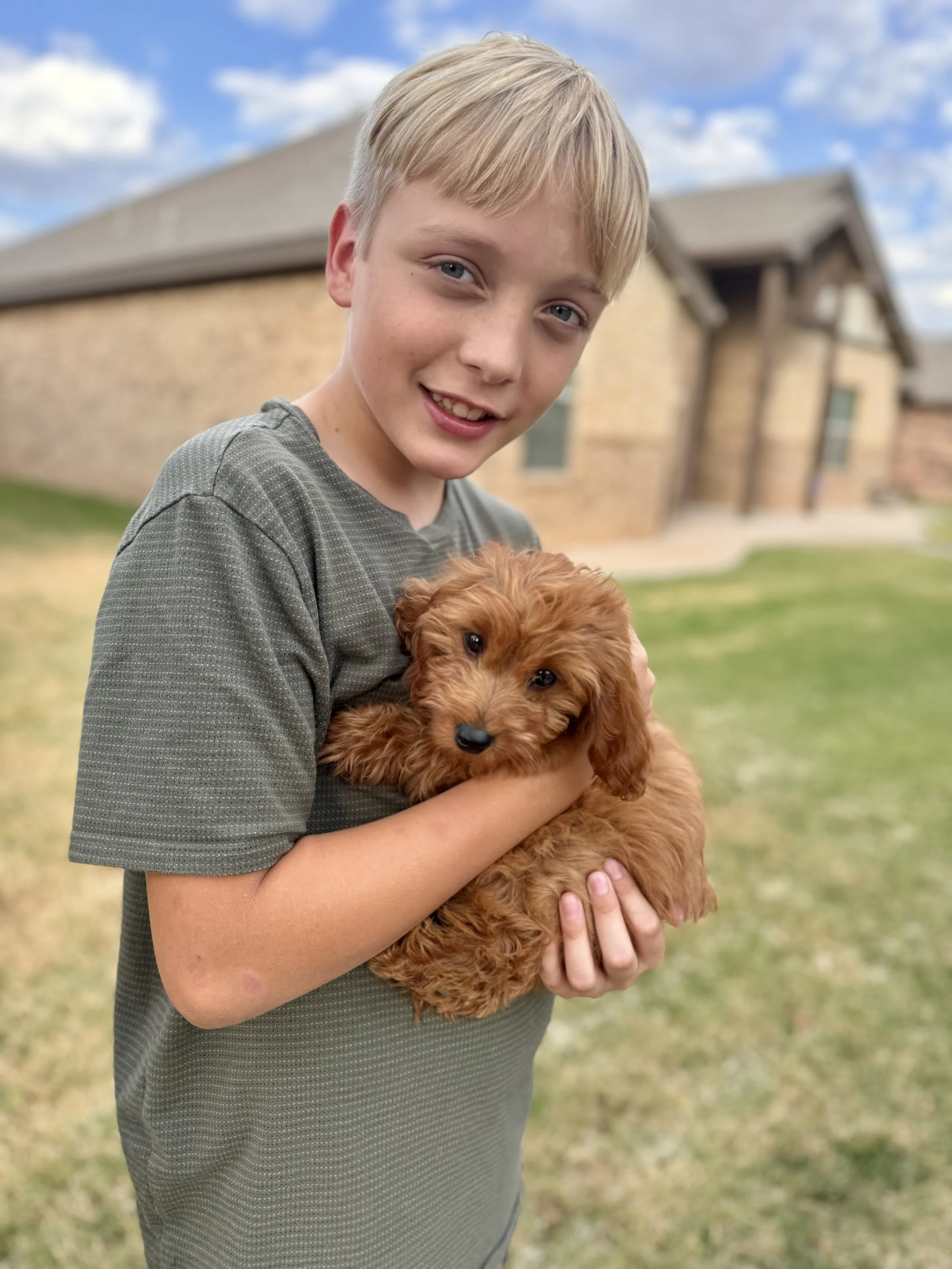 A young boy holding a small, fluffy brown puppy outdoors on grass, with a house and a partly cloudy blue sky in the background.