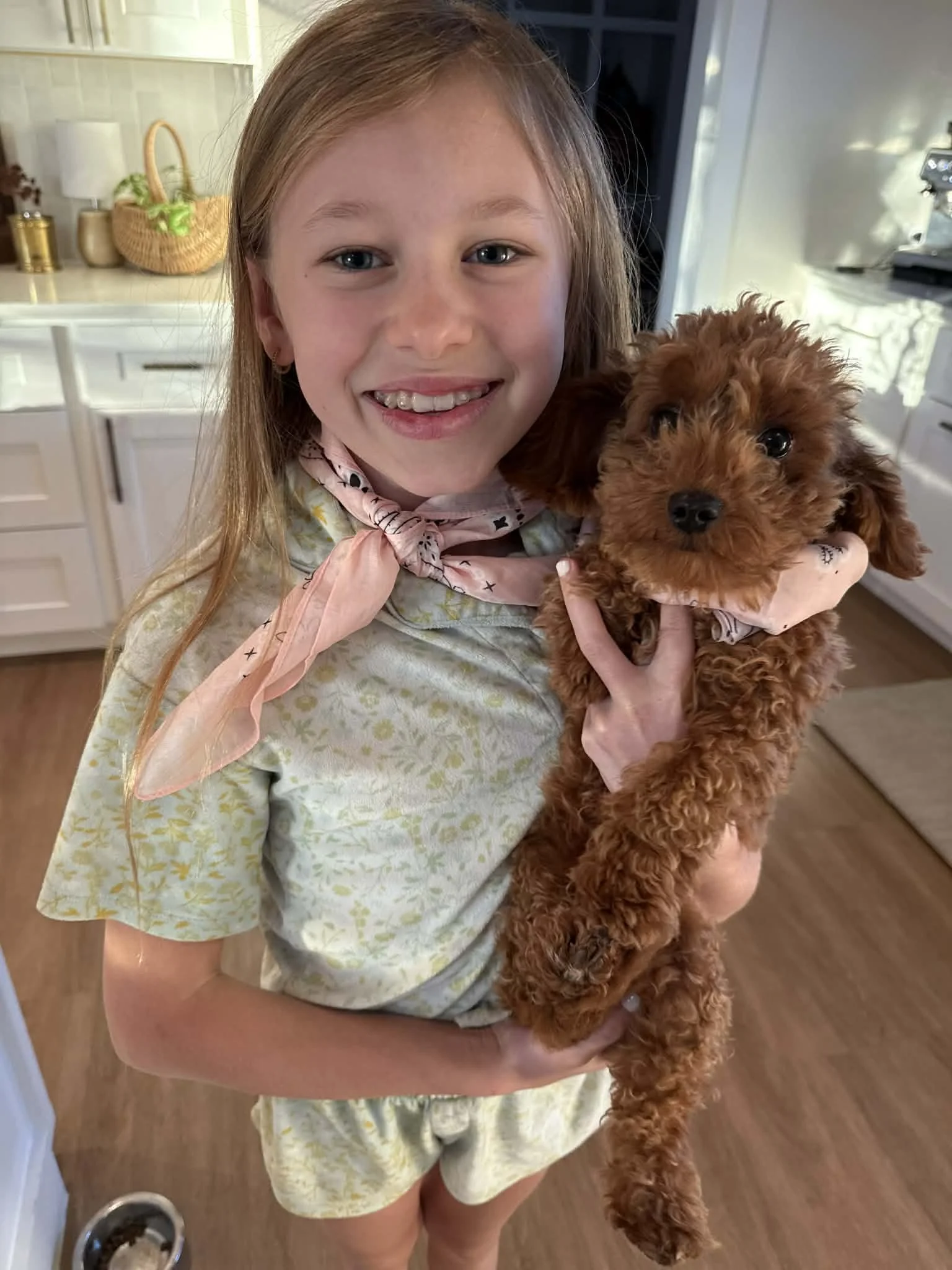 A young girl with reddish hair smiling and holding a small, curly-haired brown puppy in a kitchen.