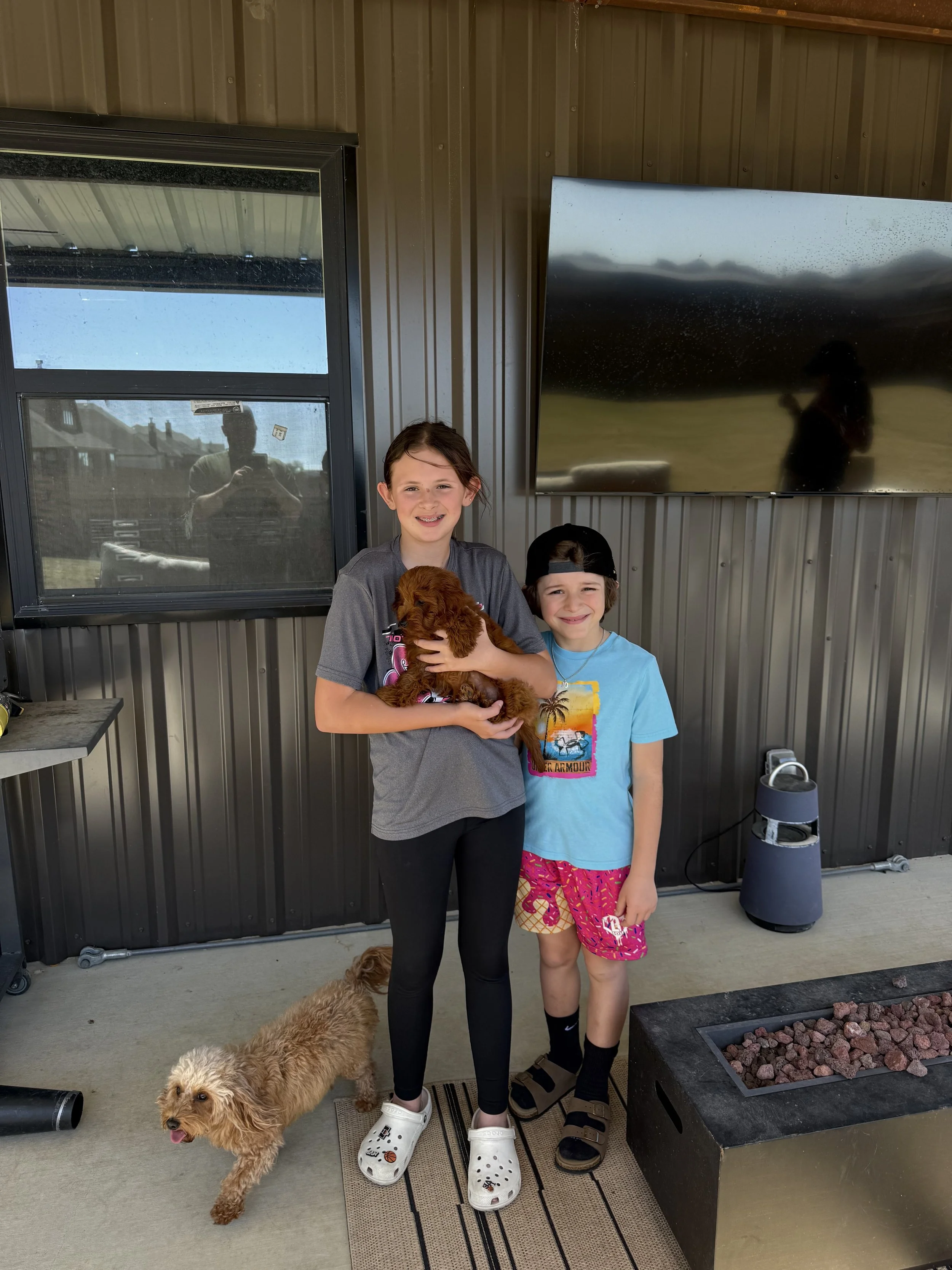 Two children, a girl and a boy, standing outside on a porch in front of a metal wall, with a girl holding a small brown poodle puppy and a larger lighter-colored dog nearby. The girl is smiling and wearing a gray T-shirt and Crocs, while the boy is s