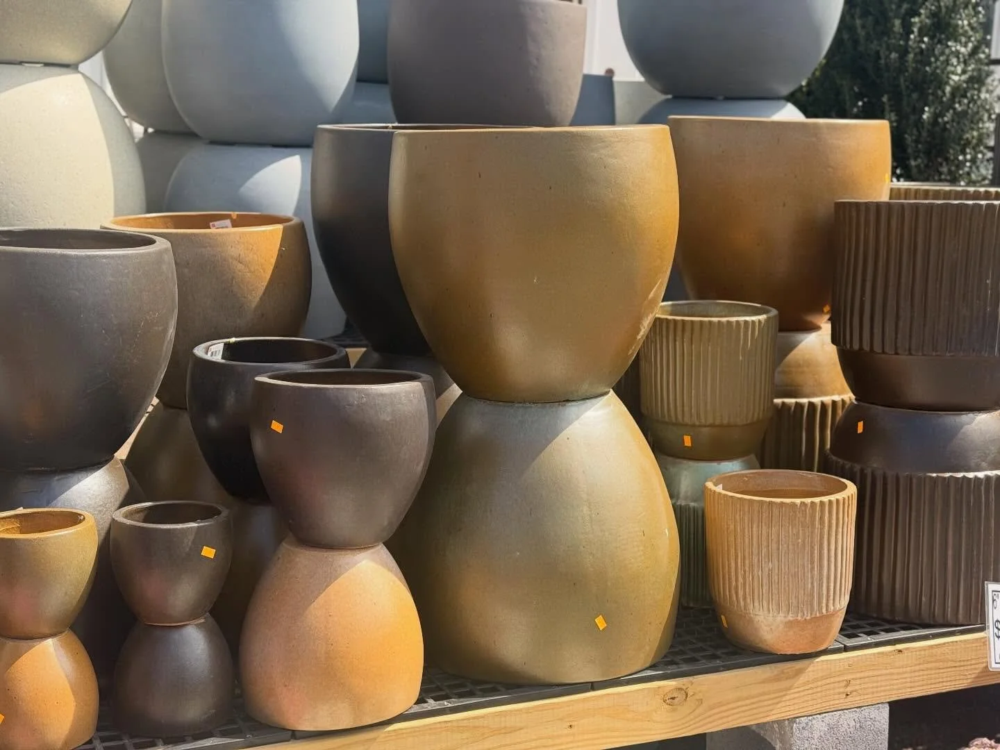 💚fully stocked on new planters/pottery. Come by and take a look!