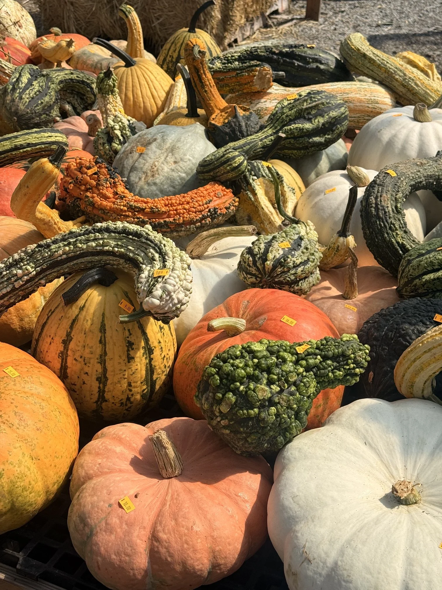 Seasonal
