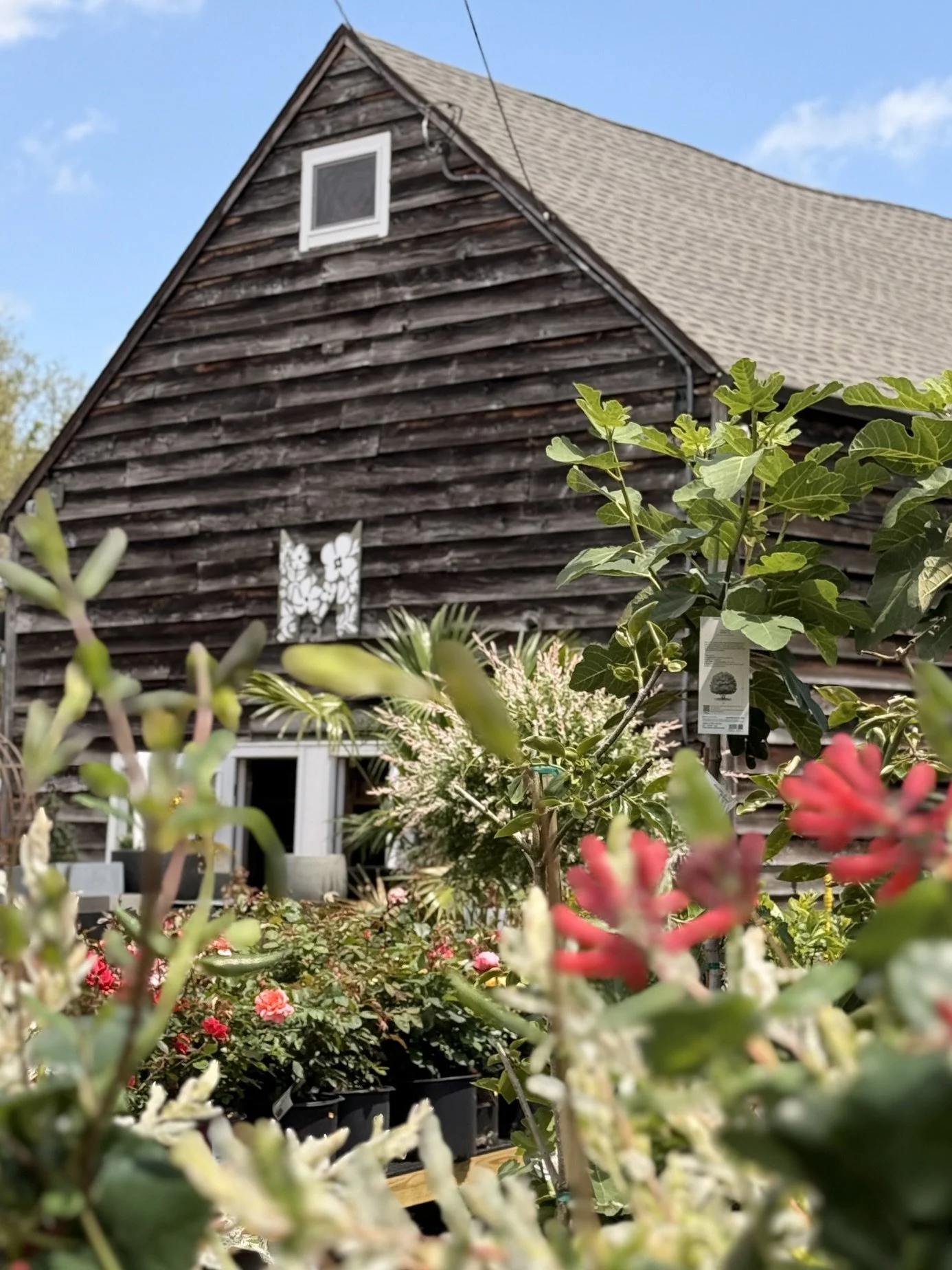 The Barn