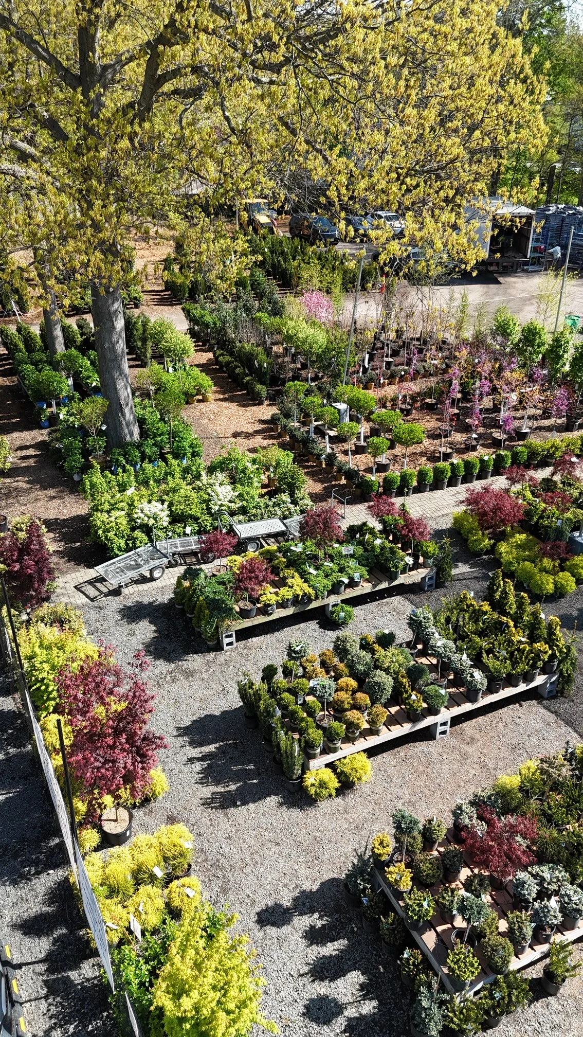 dji_fly_20260423_094720_0246_1777049824571_photo.JPG