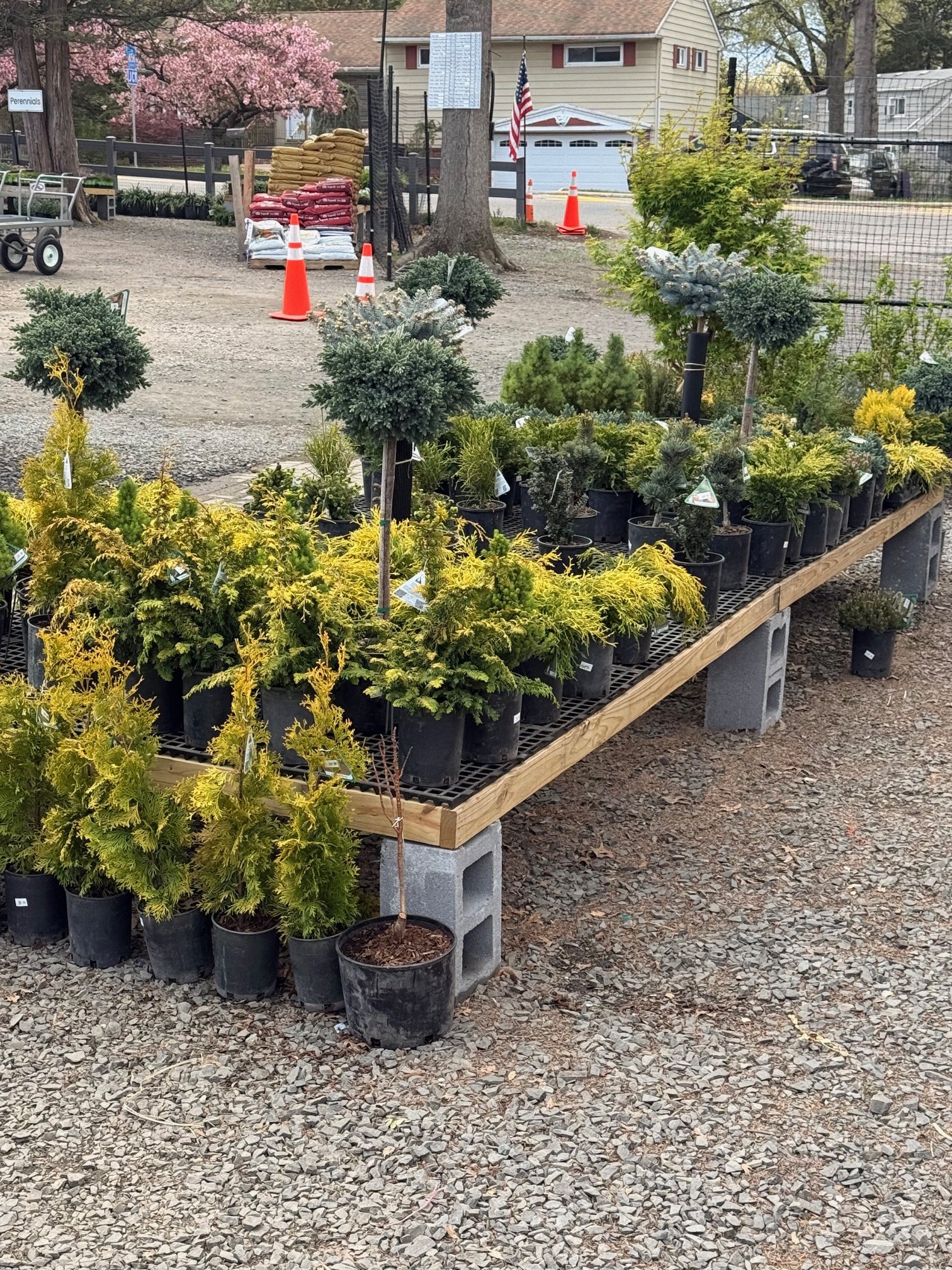 IMG_2226.jpg
