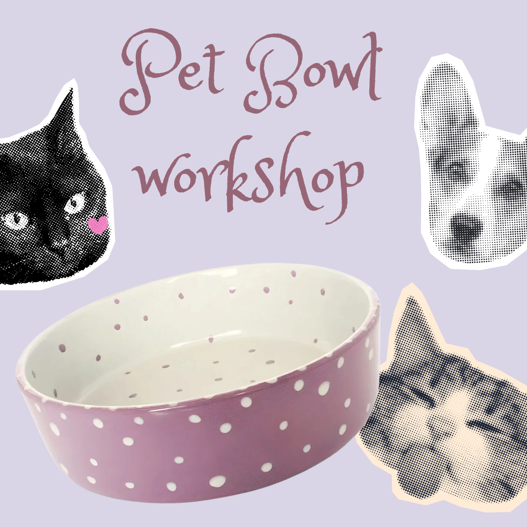 Pet Bowl Workshop