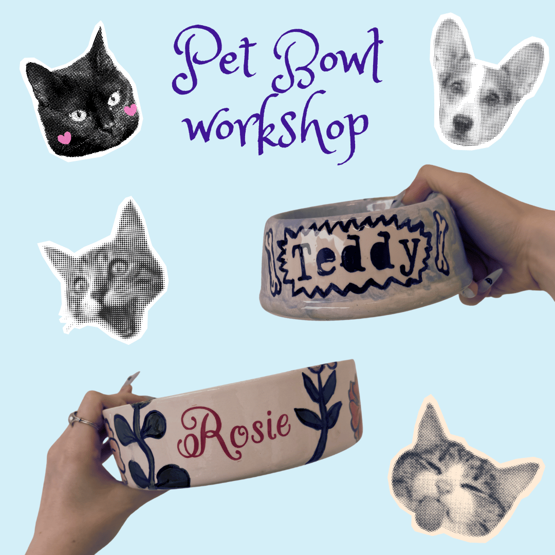 Pet Bowl Workshop 