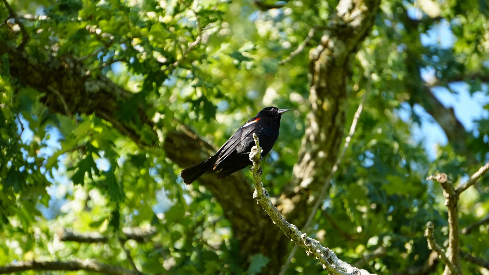 Full Session — 6 Hours