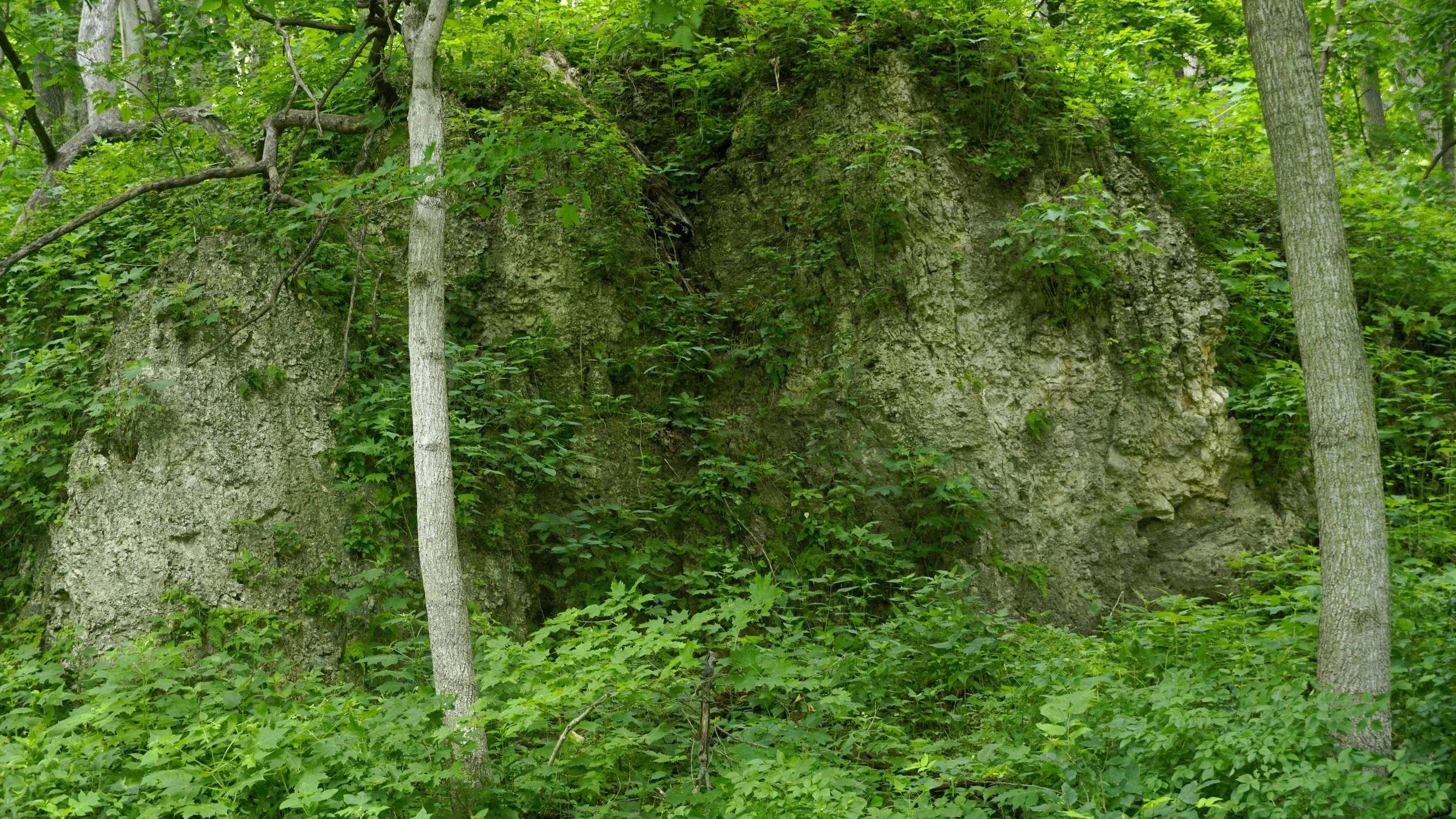 _DSC1074.jpg