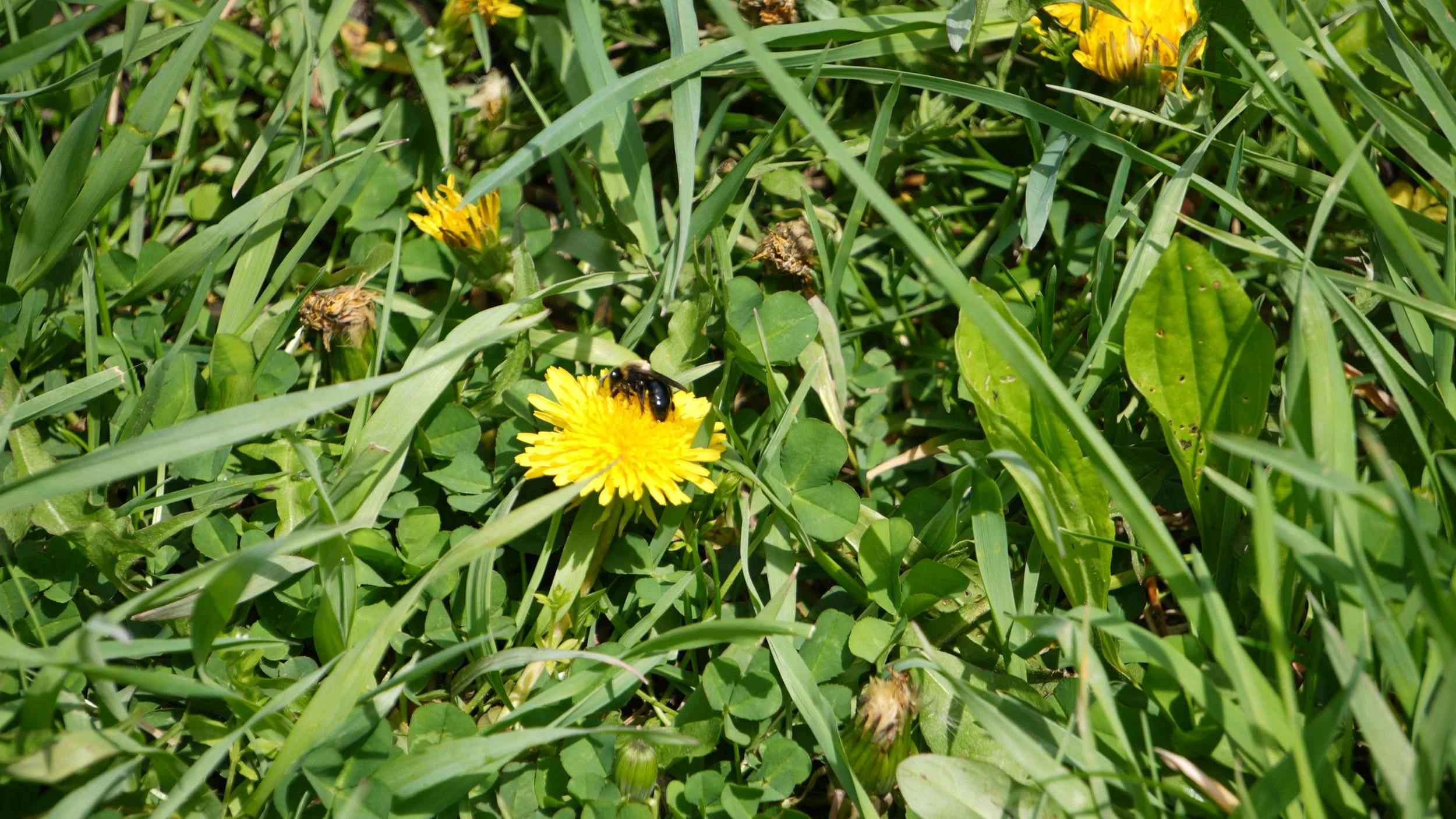 DSC02834.JPG