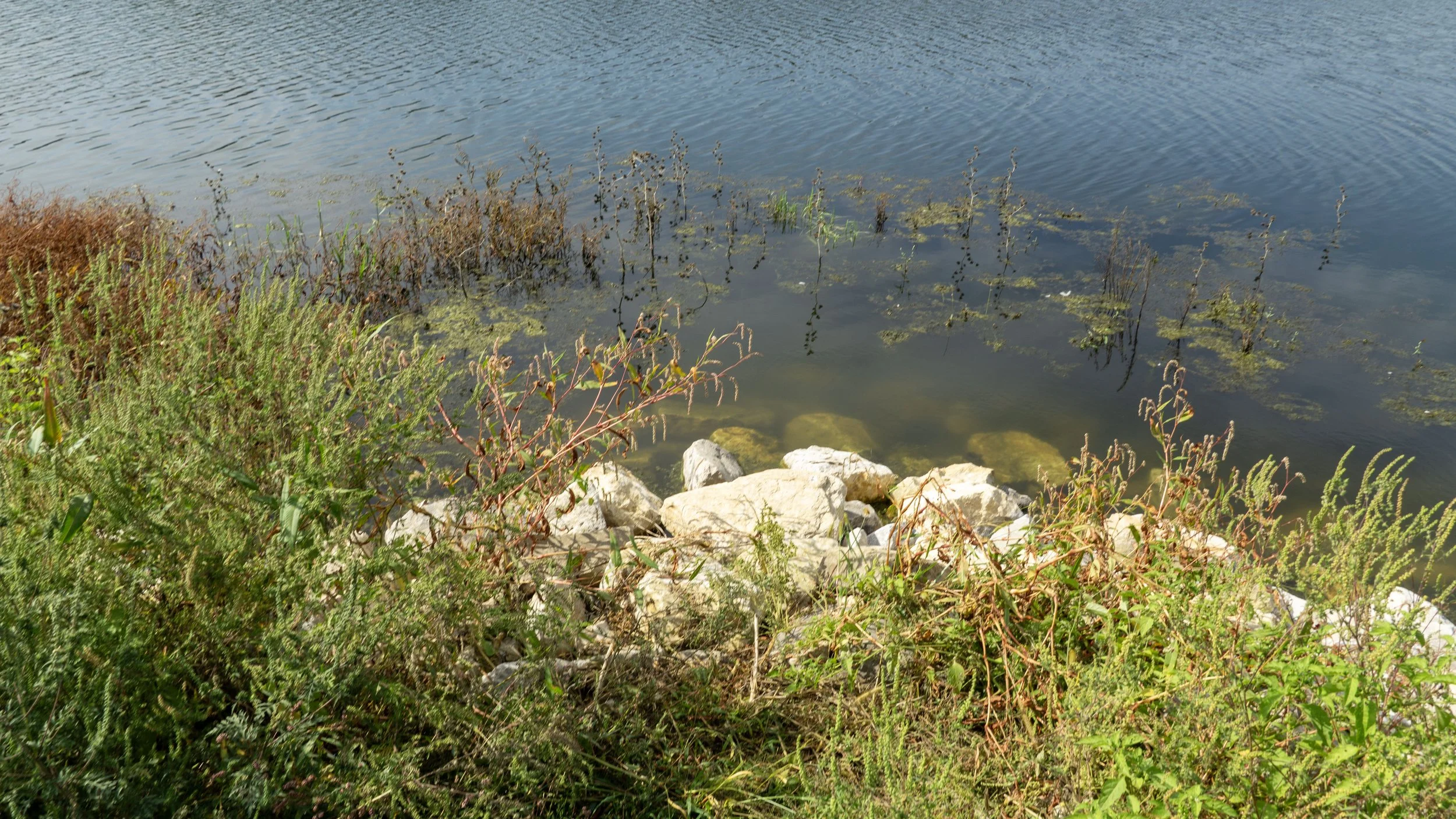 DSC01145.jpg