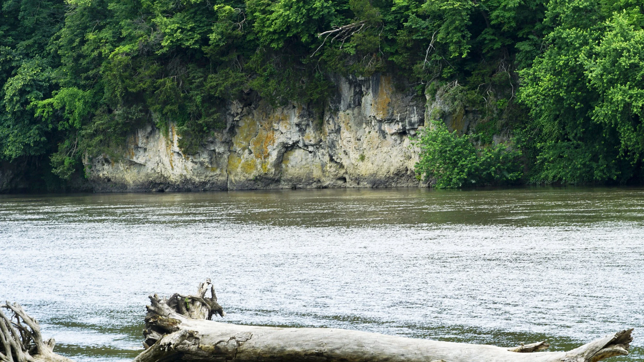 _DSC1083.jpg
