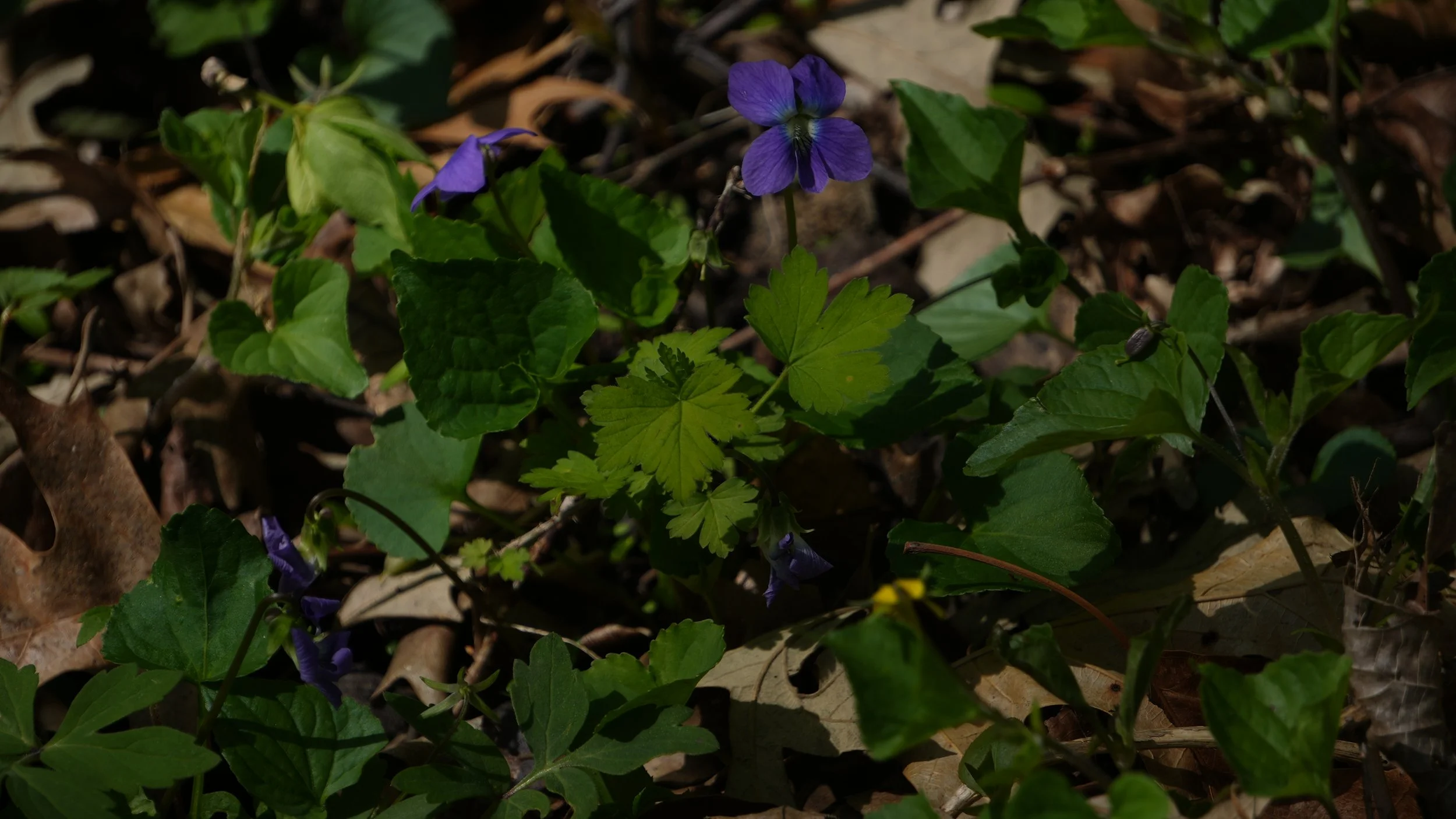DSC02708.JPG