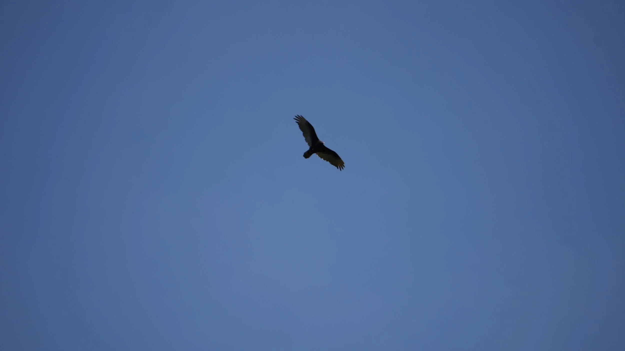 DSC02702.JPG