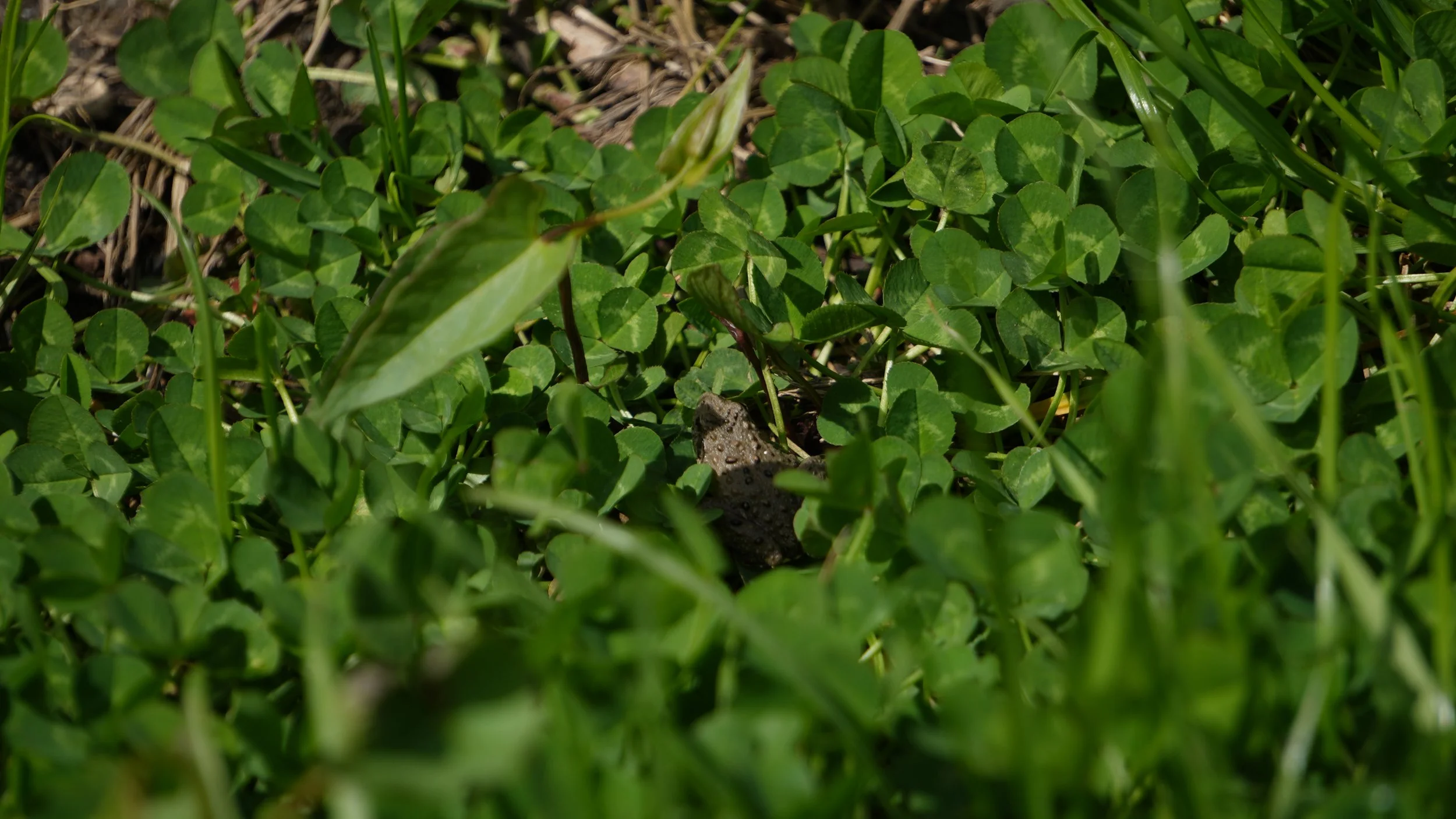 DSC02875.JPG