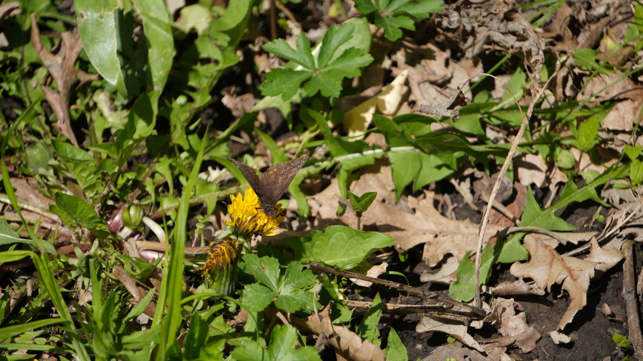 DSC02764.JPG