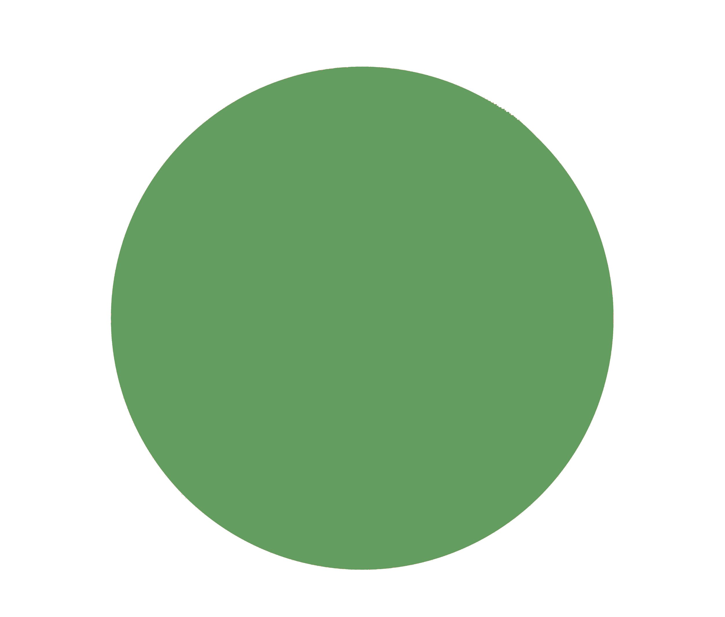green circle.jpg