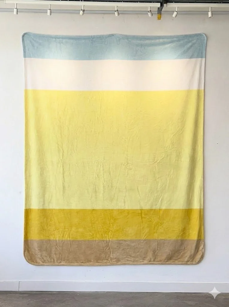Color Block | Color: Earth/Sky/Sun  (100% polyester - 60"x80")