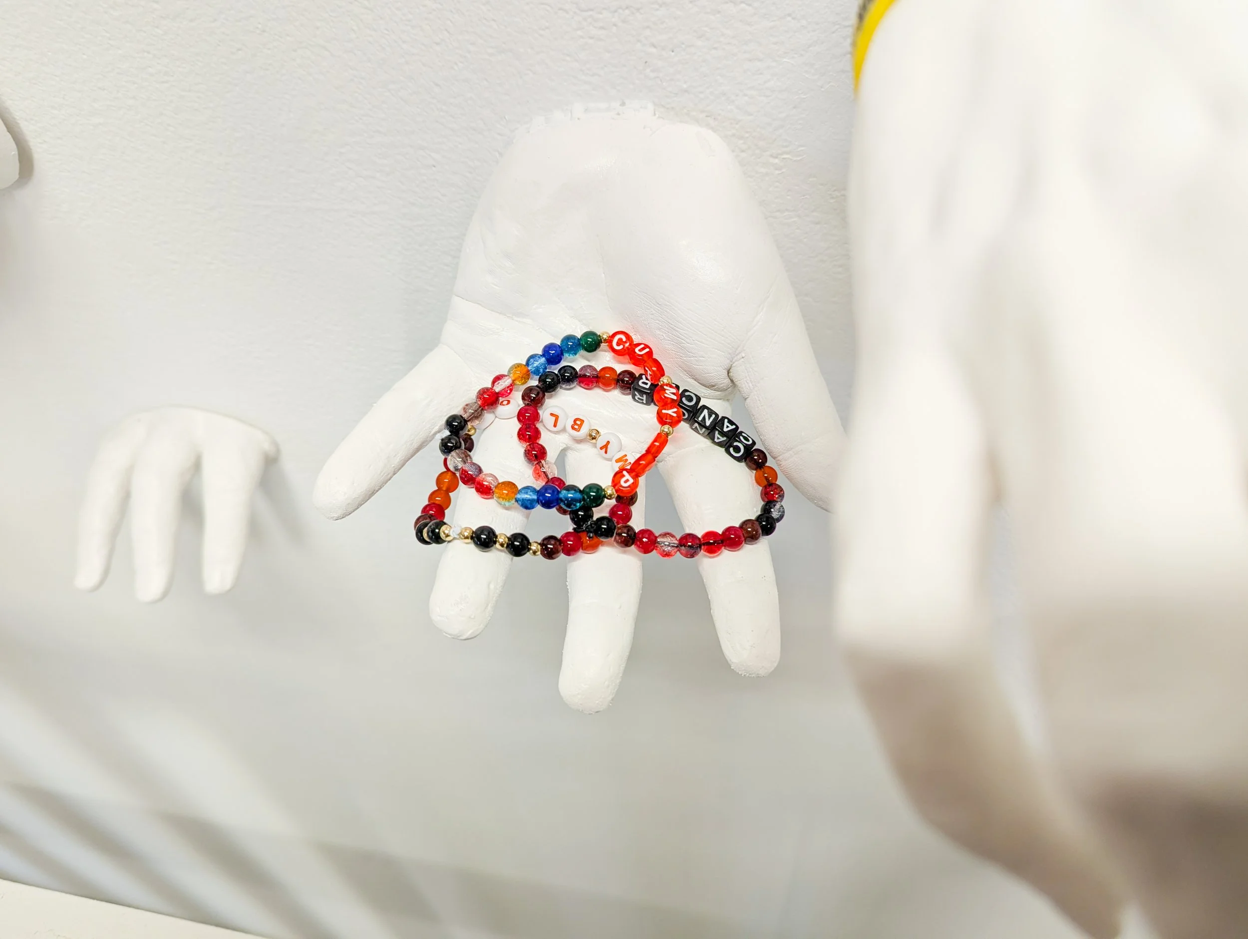 Gardner_Meraki_frontlines_10 (1 of 1).jpg