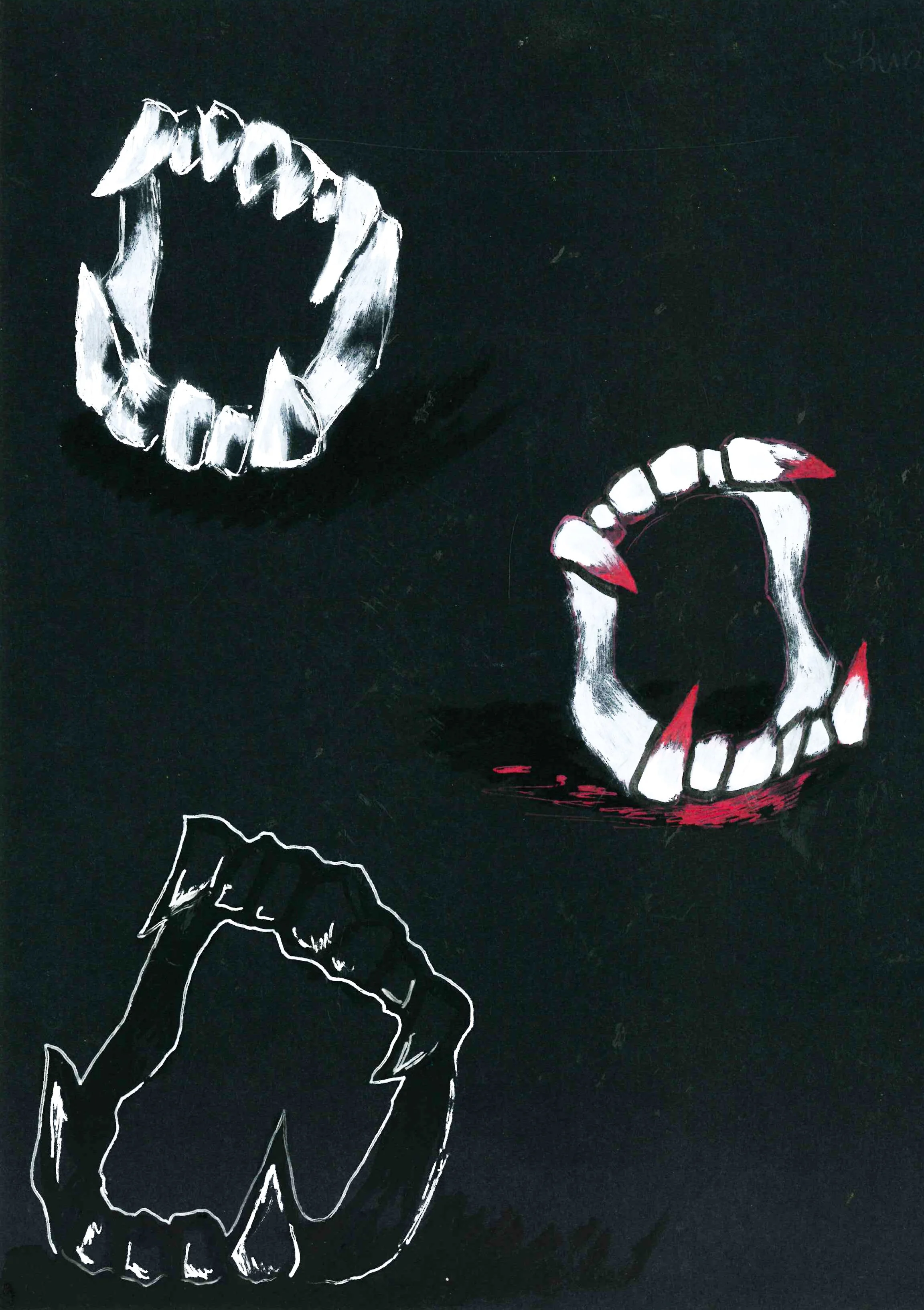 Gardner_Meraki_False_2024 (1 of 1).jpg