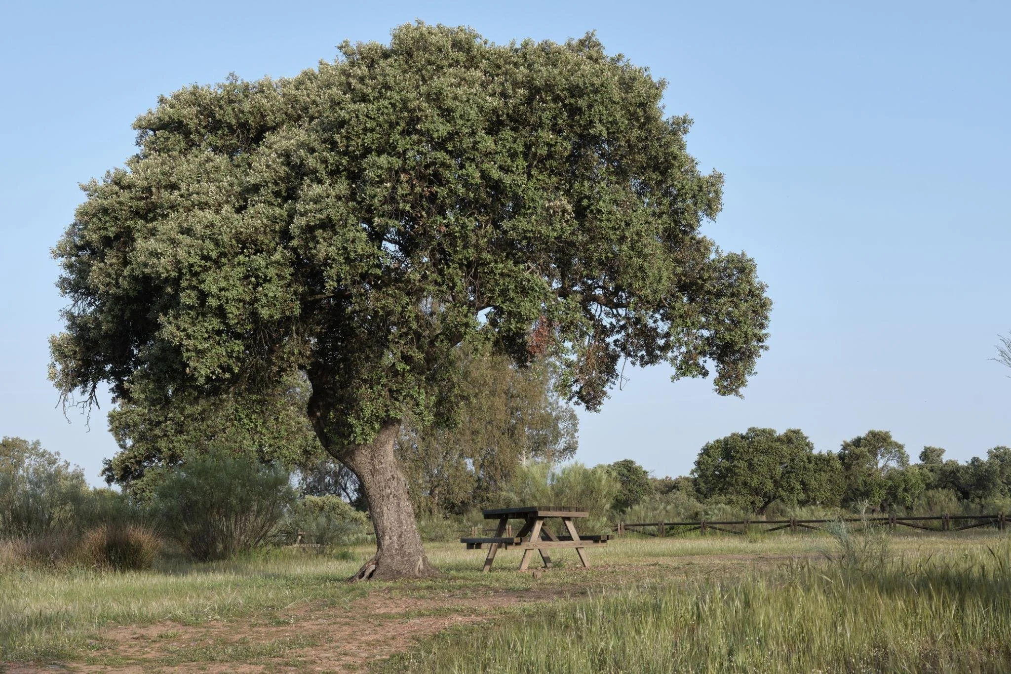 Extremadura: Spain’s Most-Authentic Landscape
