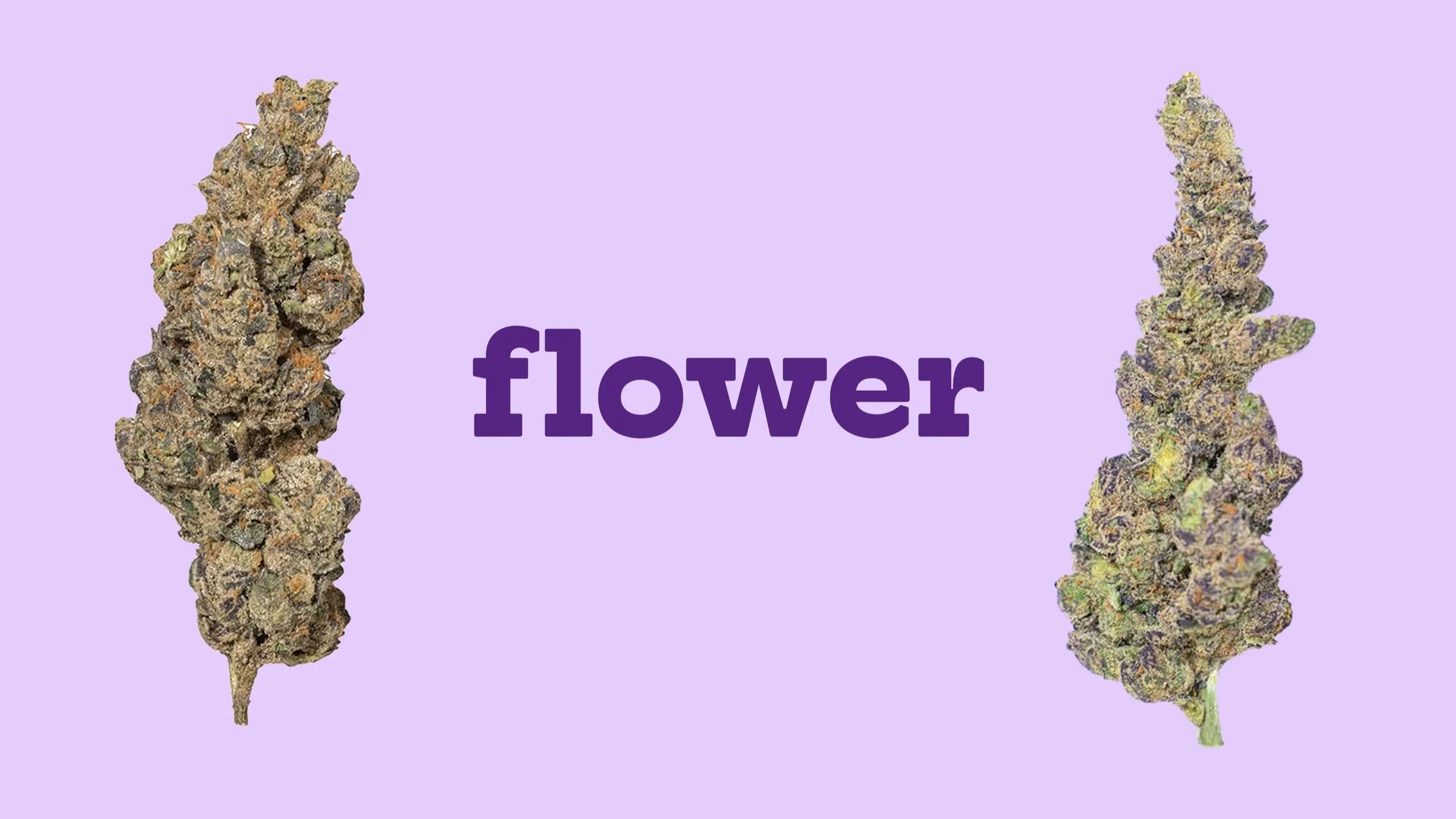 flower category button