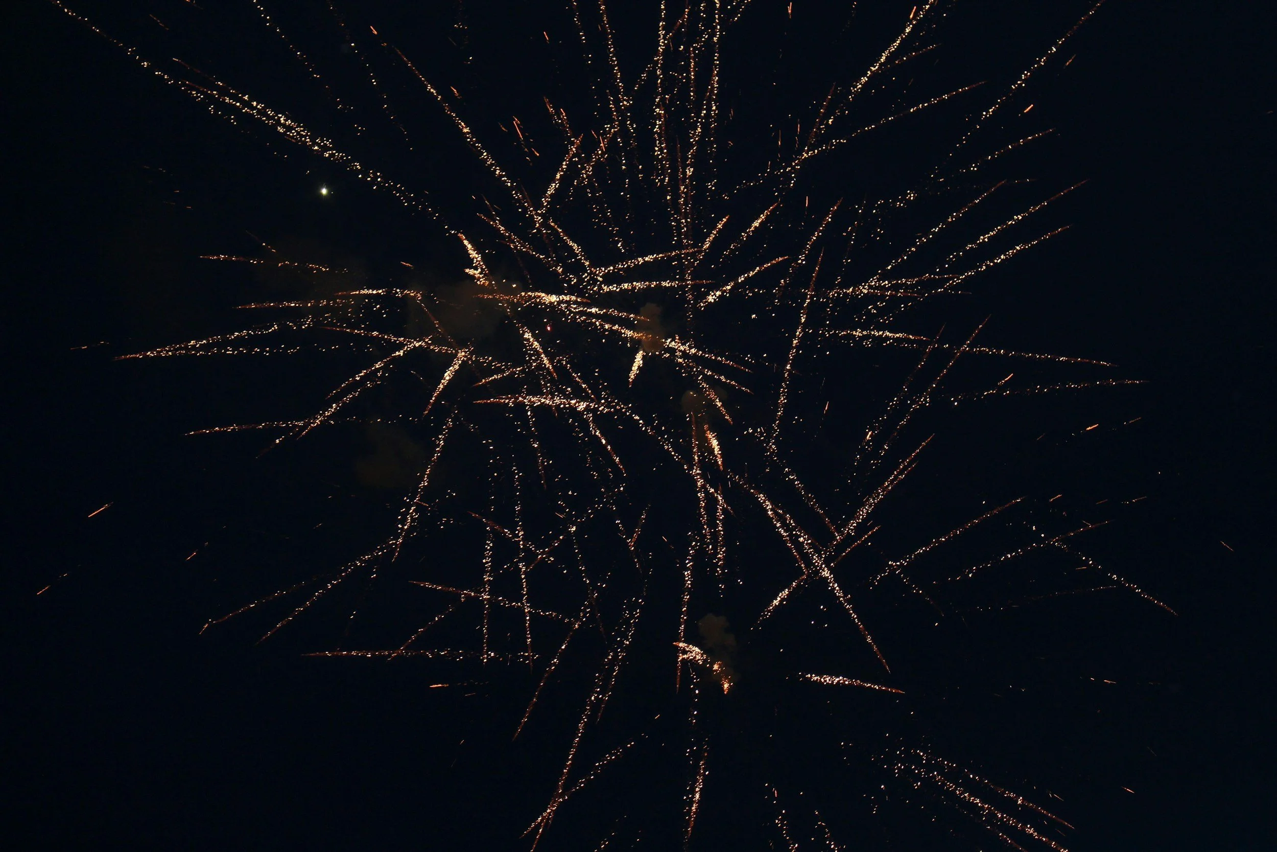 Happy New Year!