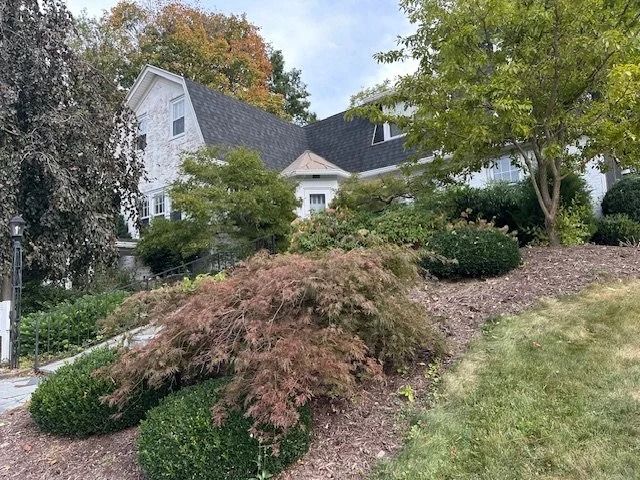 A residential house surrounded by lush greenery and trees, with a well-maintained lawn and colorful bushes in the yard.