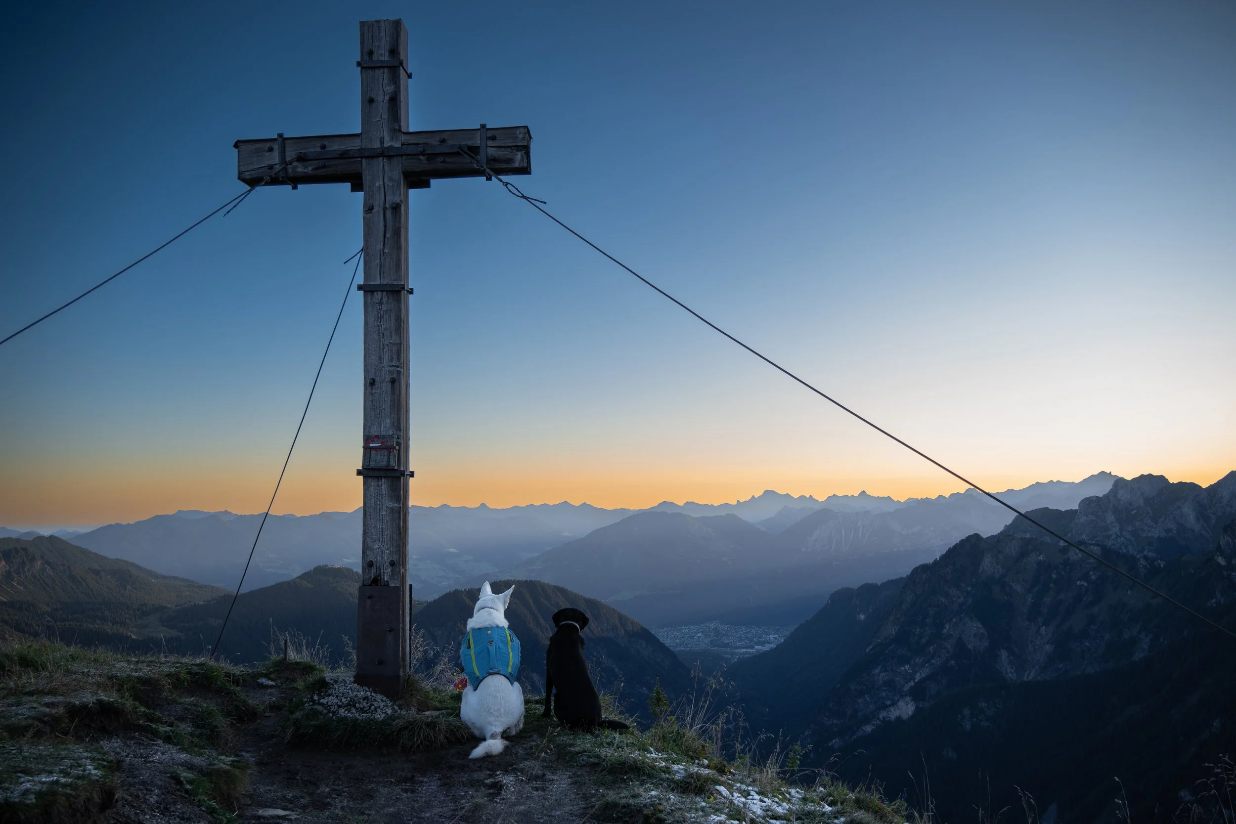 Zwei Hunde sitzen an einem Berggipfel bei Sonnenaufgang, neben einem großen Holzkreuz, mit Blick auf eine Berglandschaft und ein Tal.