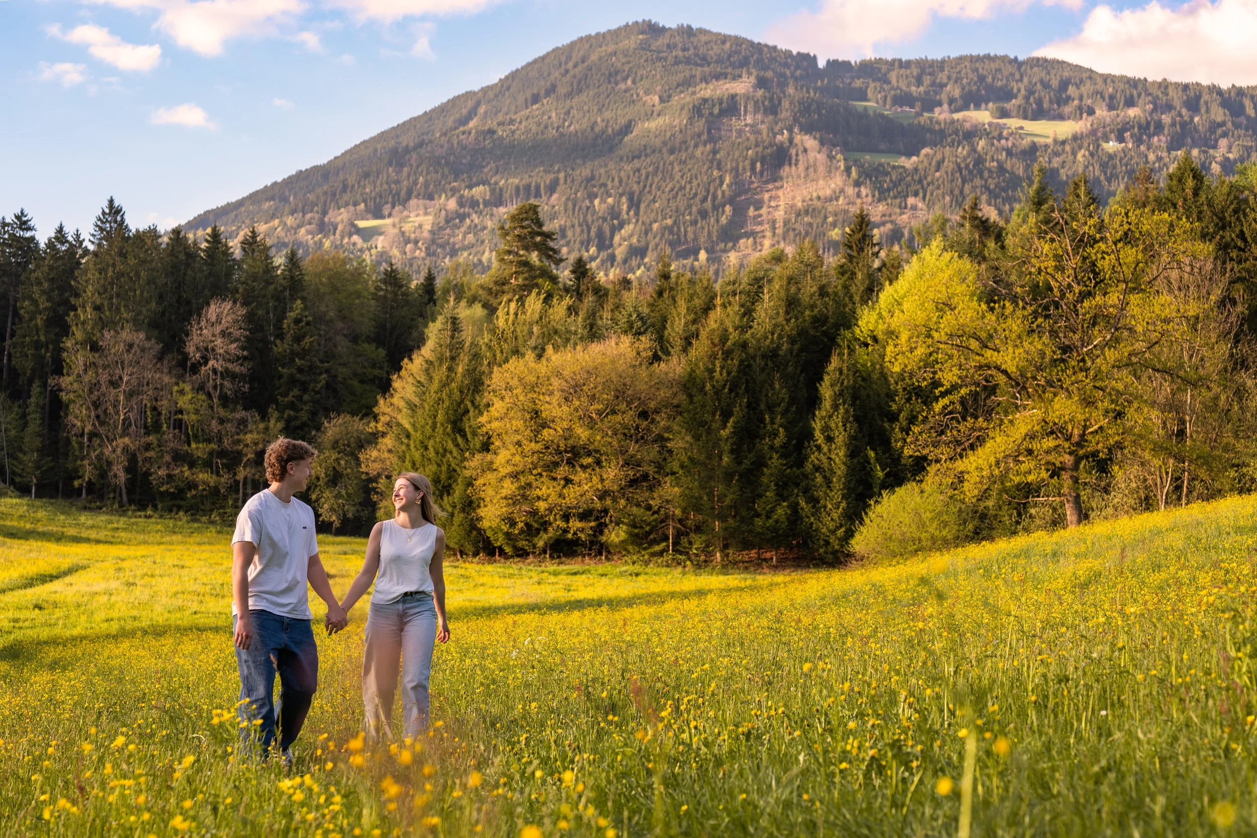 Panoramafoto eines Paares auf einer gelben Blumenwiese. Im Hintergrund Wald, Berge und eine schöne Wolkenstimmung.