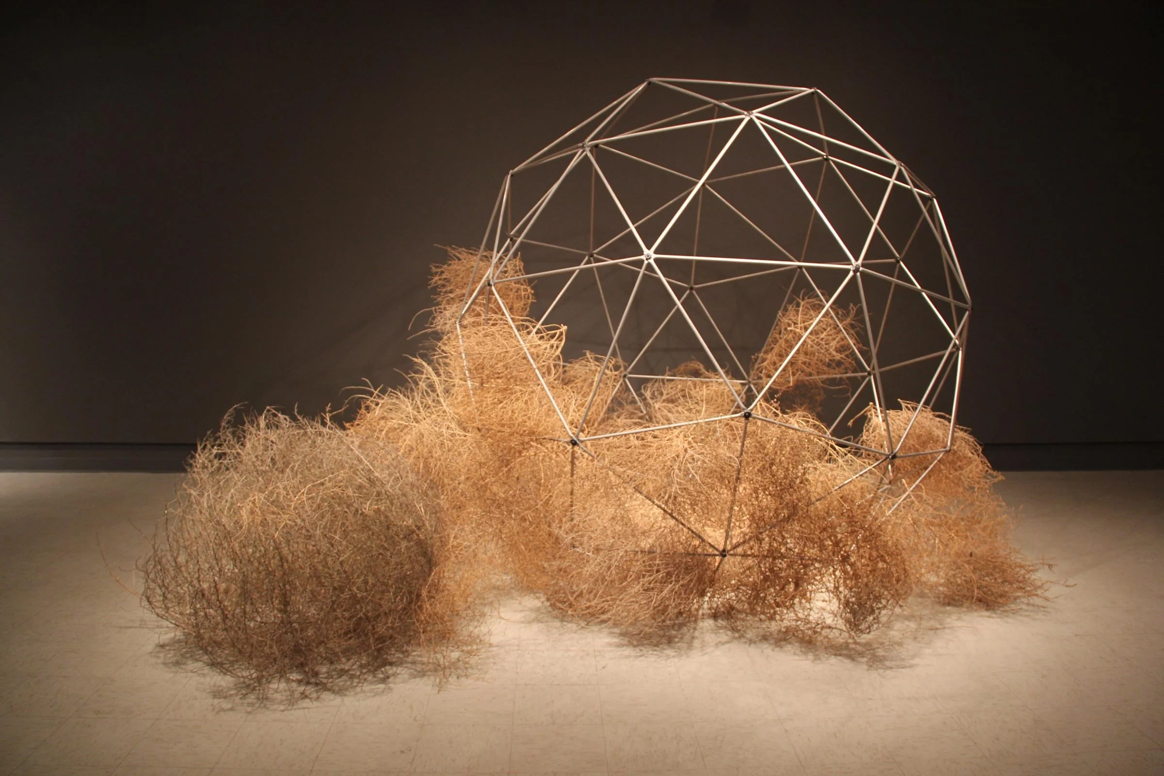 "trust me, this will work"
Approximately 120" x 84" x 84"
Tumbleweeds, aluminum, hardware

2011