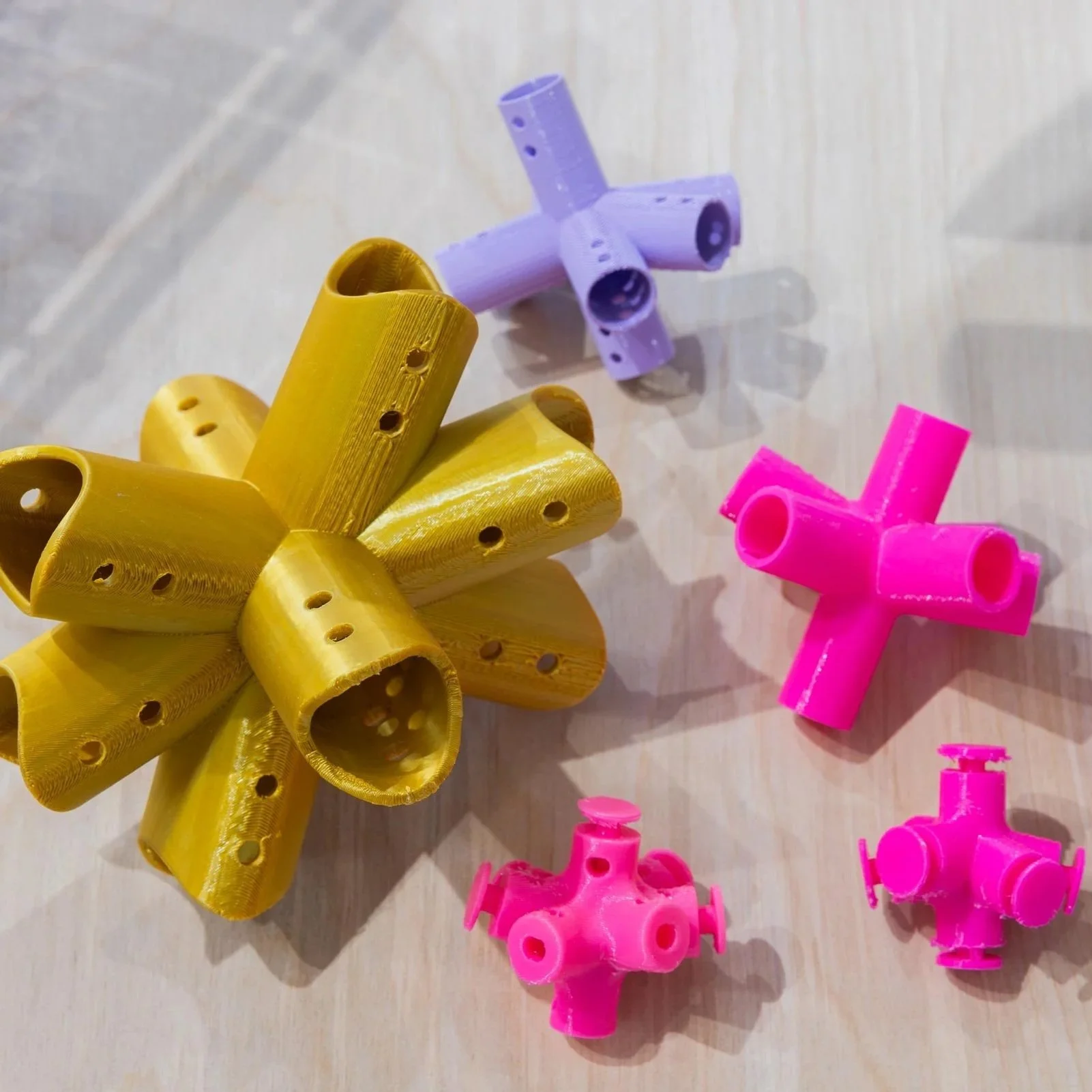 STUDY MODELS