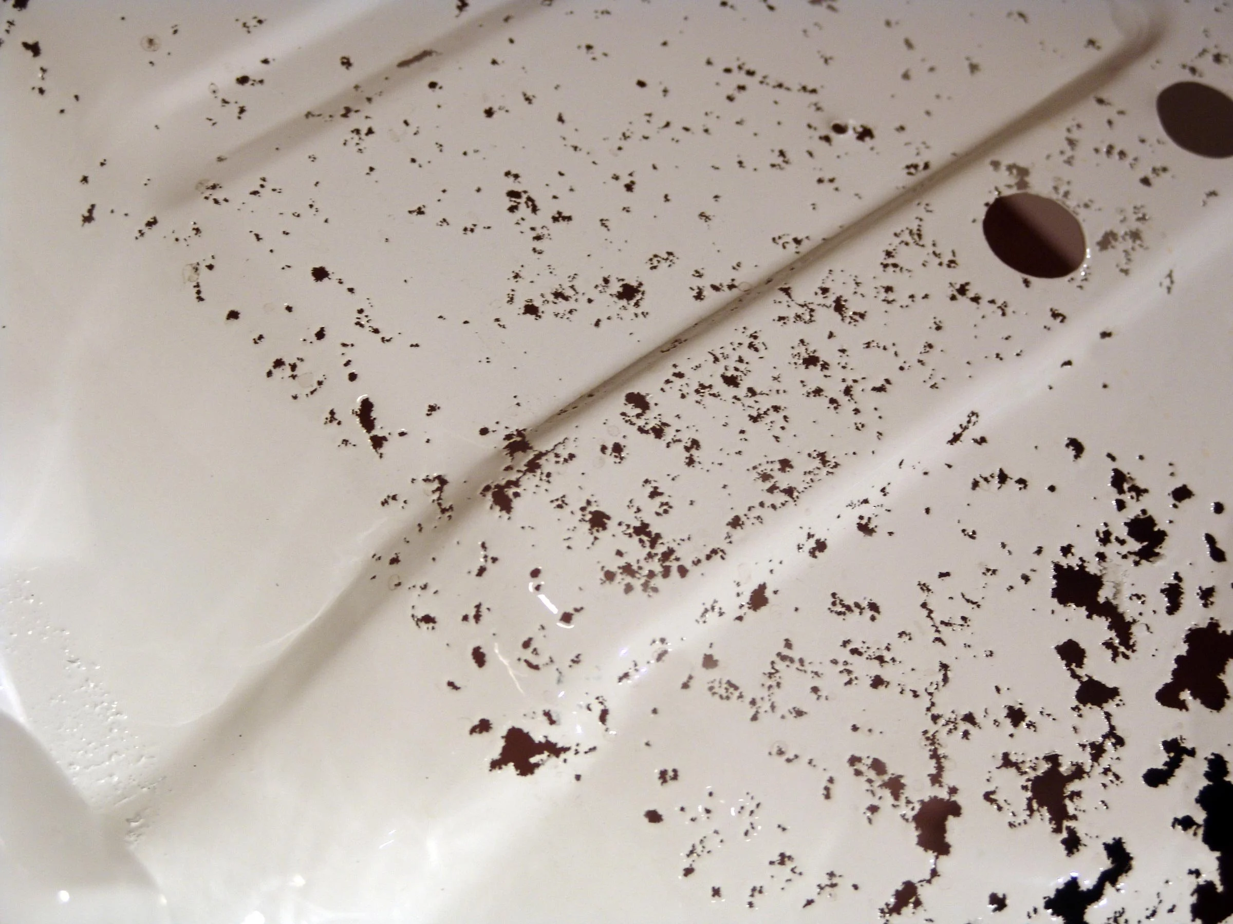 husk_detail01.JPG